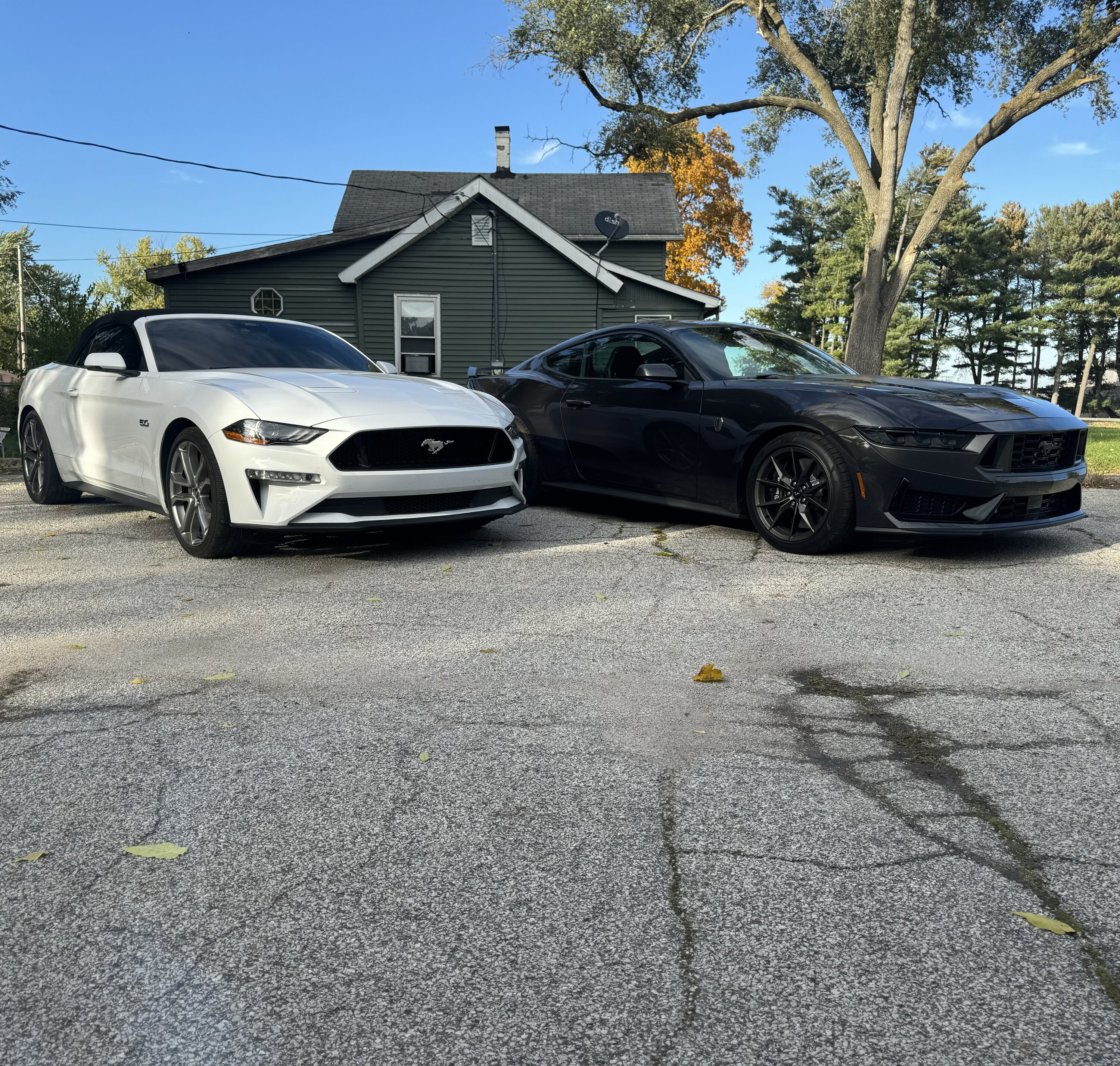 S650 Mustang Ended up with a Dark horse IMG_2924