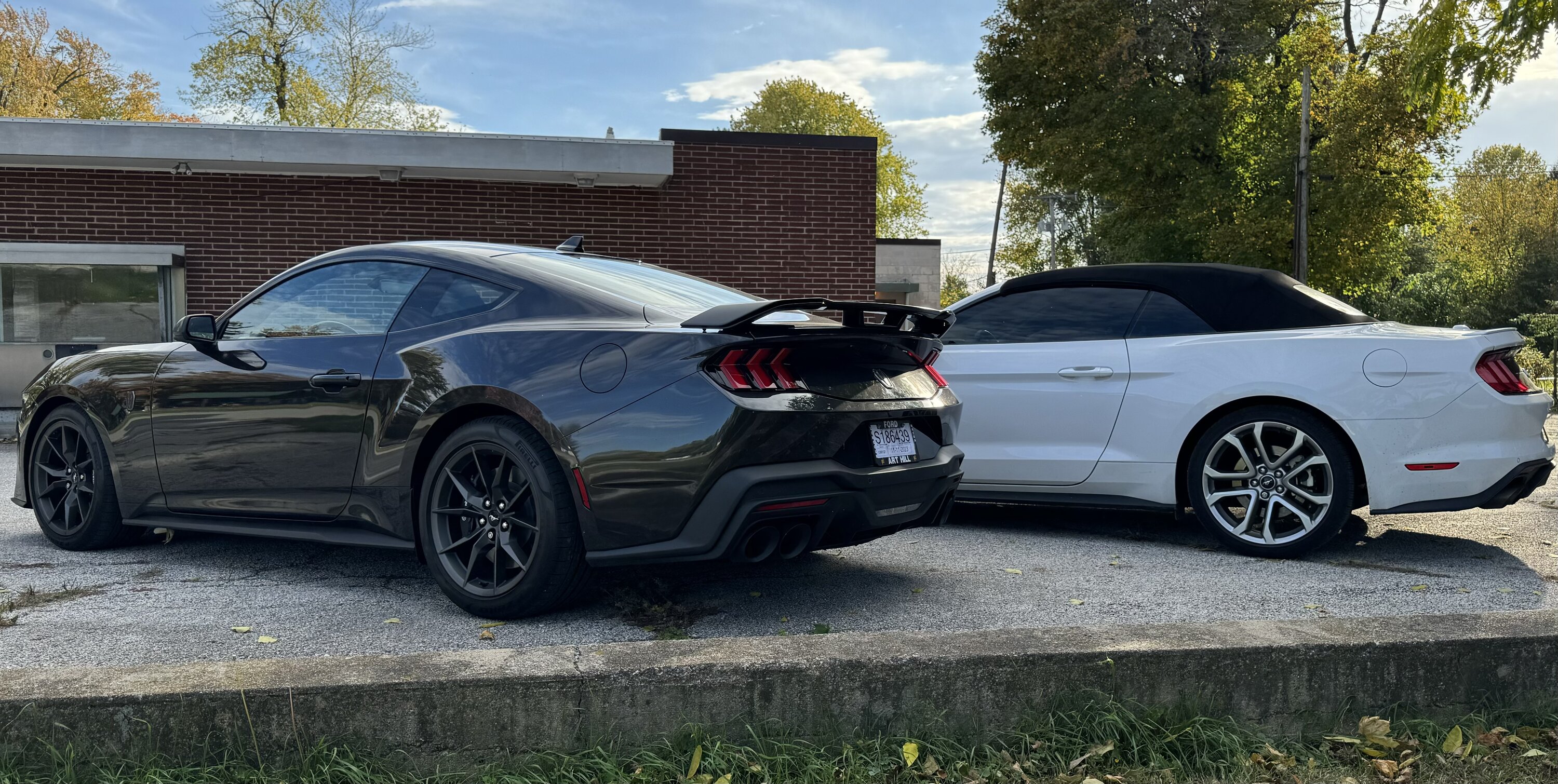 S650 Mustang Ended up with a Dark horse IMG_2929