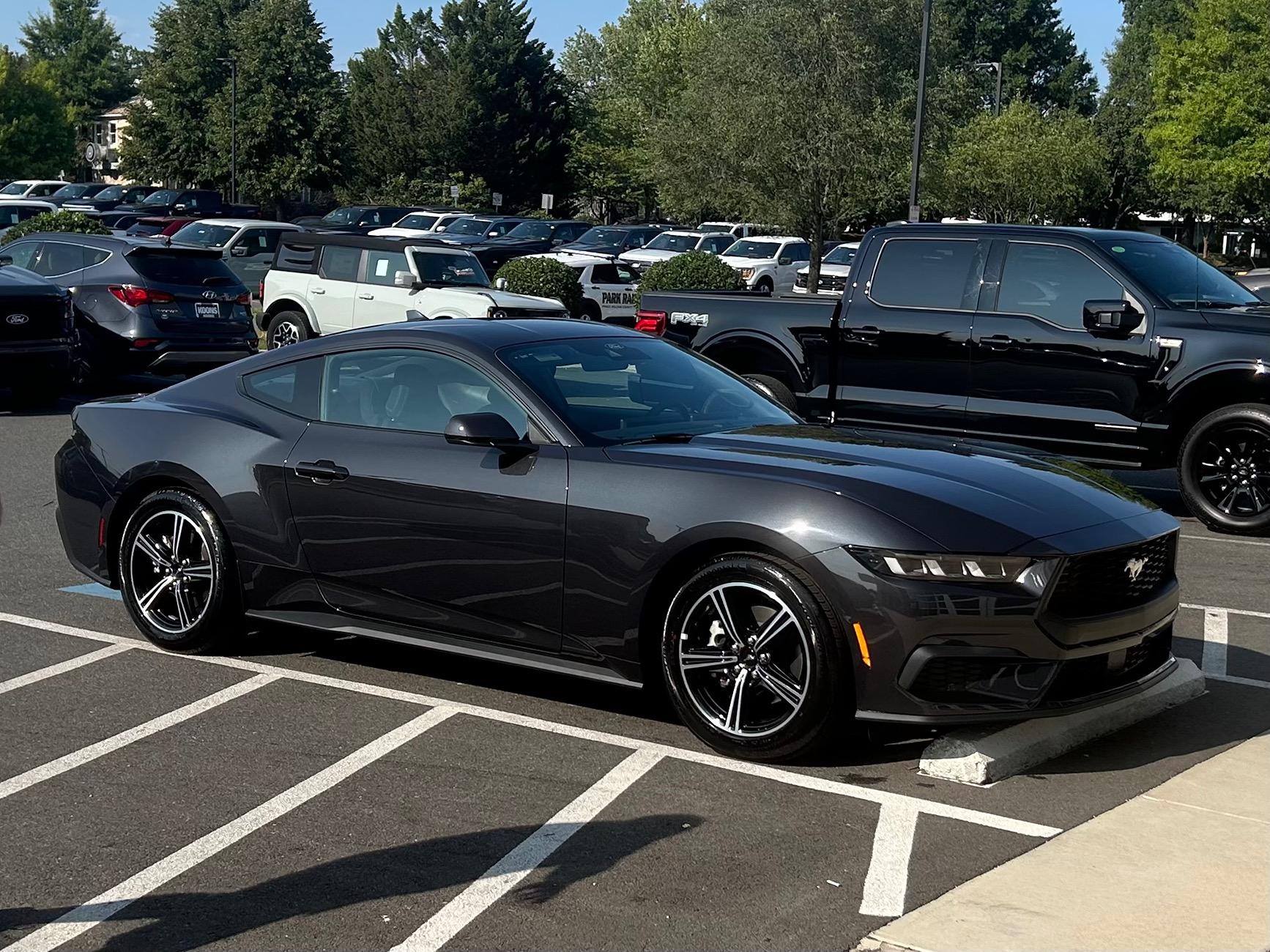 S650 Mustang Introductions & Welcome Thread 👋 IMG_2986