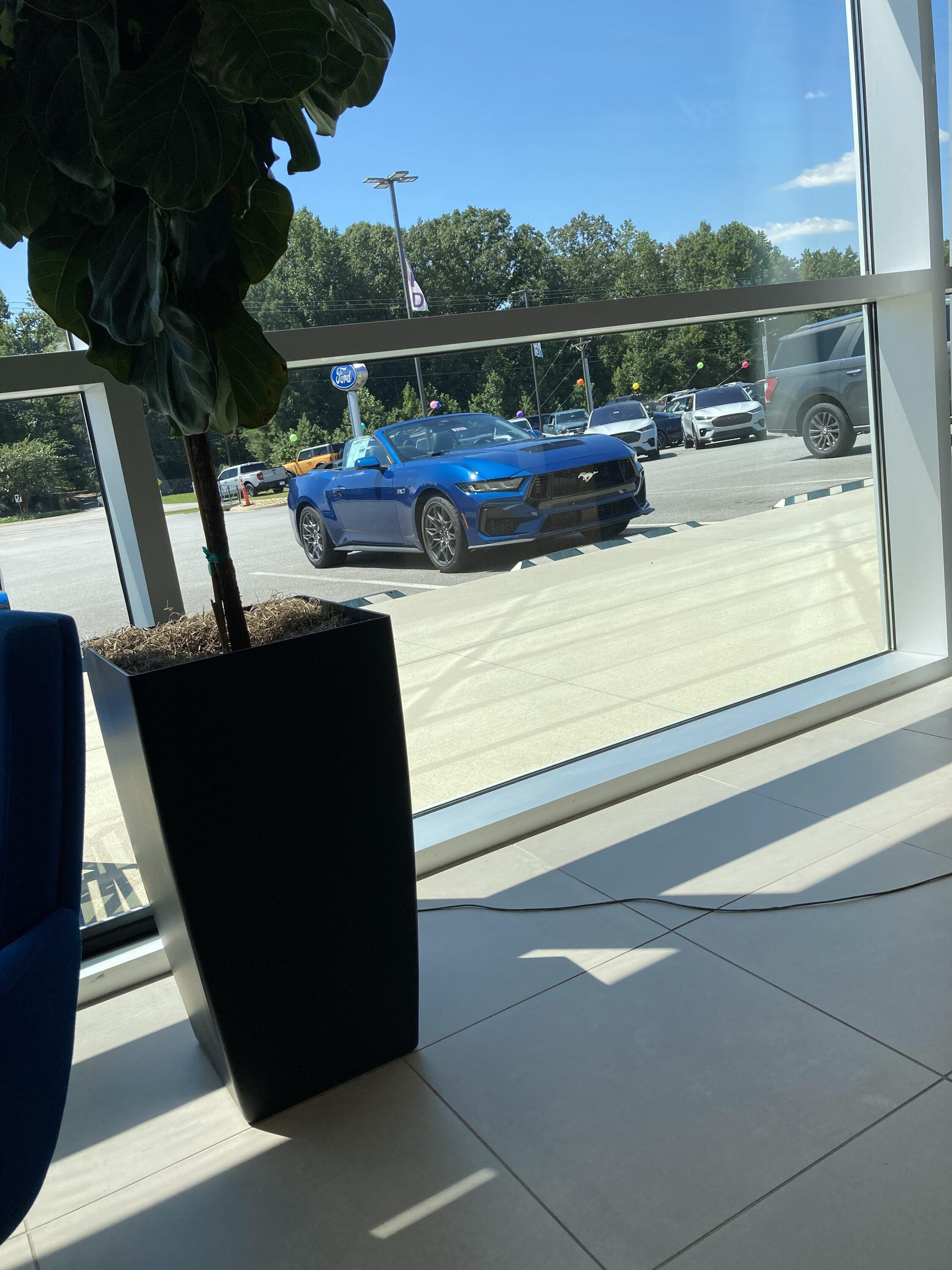 S650 Mustang Official ATLAS BLUE Mustang S650 Thread IMG_3035