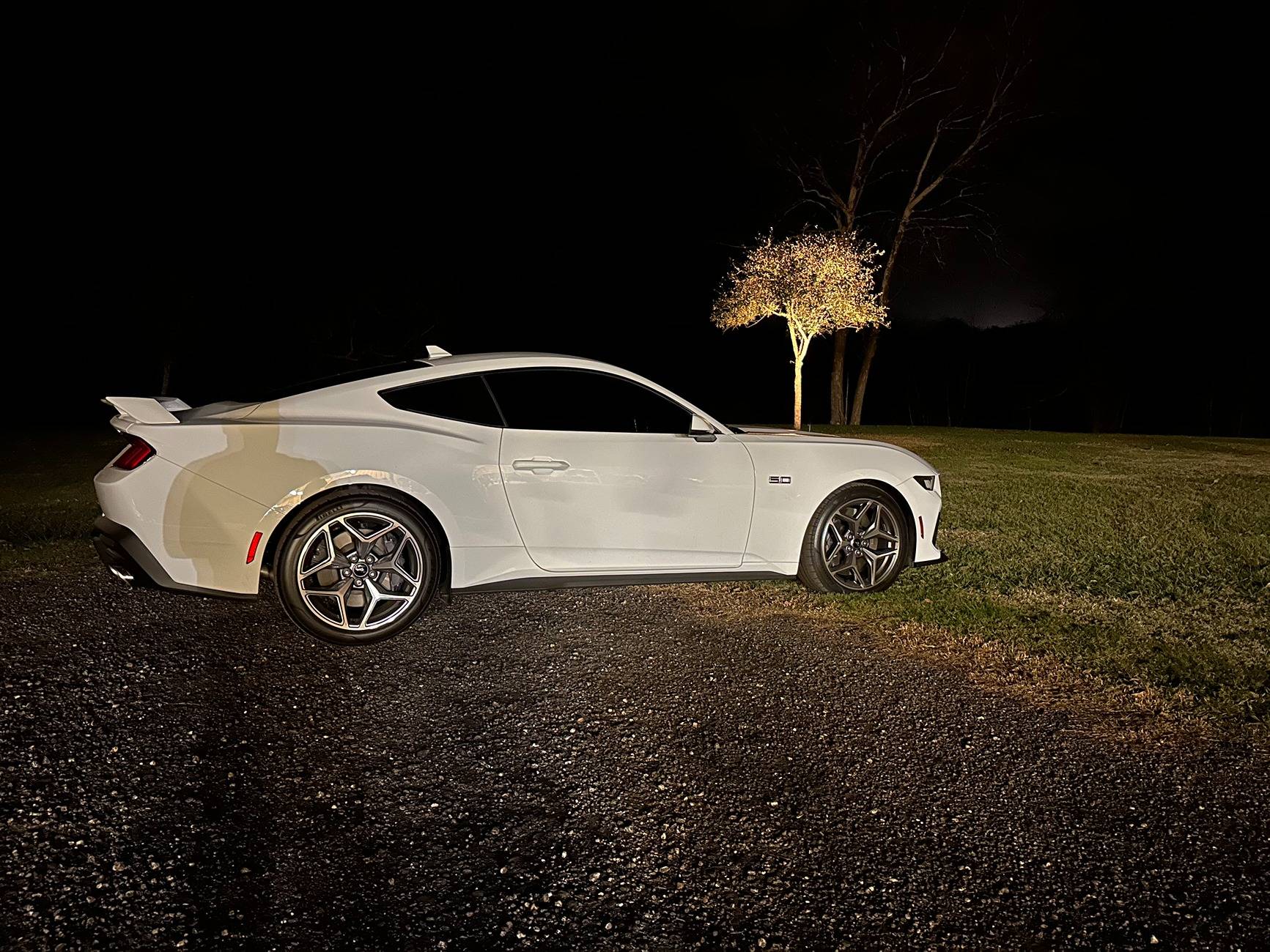 S650 Mustang Cool Daily Random S650 Mustang Pics -- Post Yours! 📸 IMG_3095