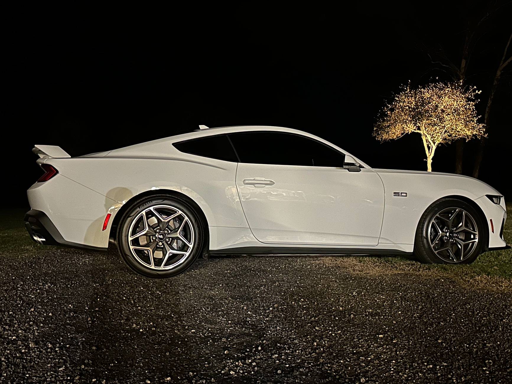 S650 Mustang Cool Daily Random S650 Mustang Pics -- Post Yours! 📸 IMG_3096