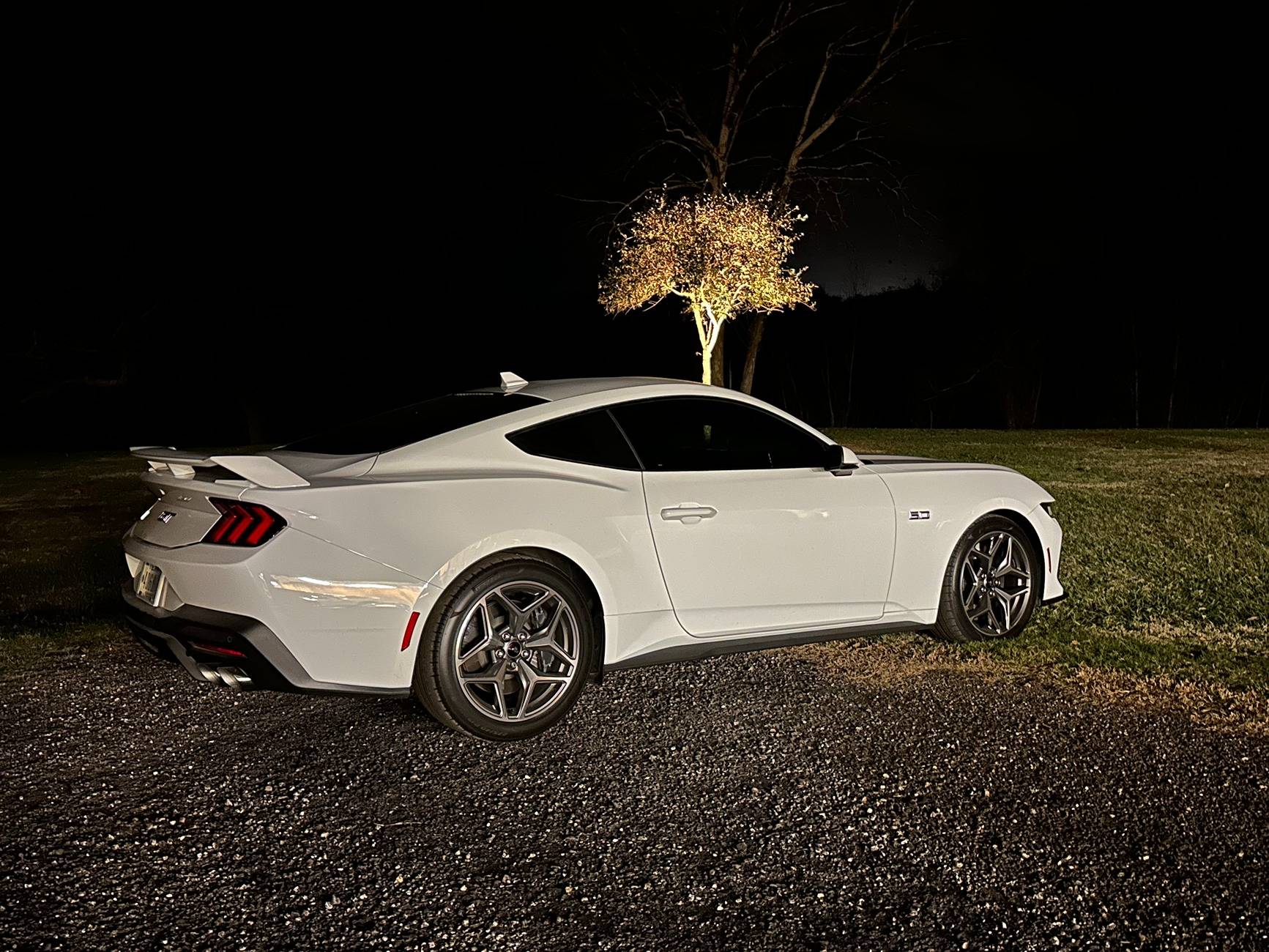 S650 Mustang Cool Daily Random S650 Mustang Pics -- Post Yours! 📸 IMG_3097