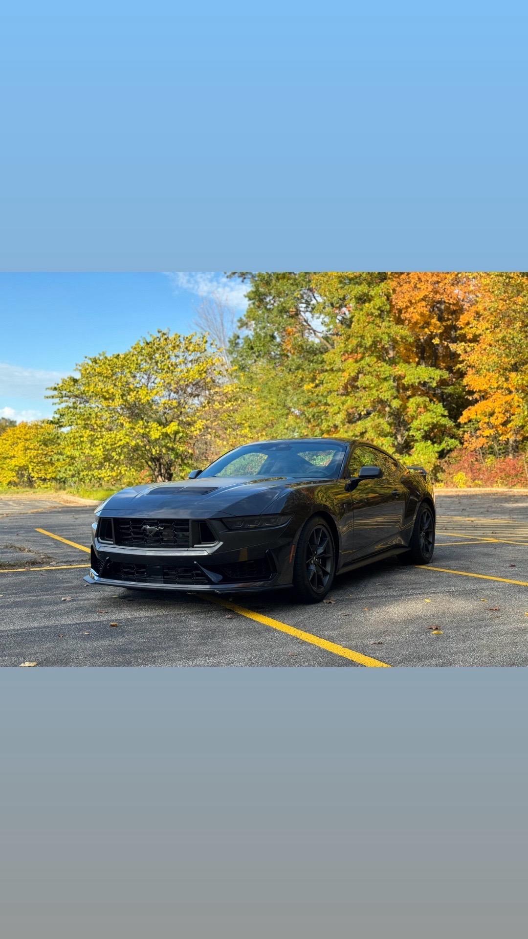 S650 Mustang Ended up with a Dark horse IMG_3100