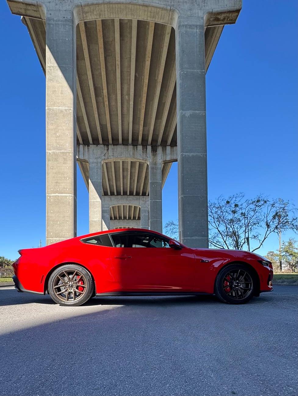 S650 Mustang Photoshop Request Please IMG_3232