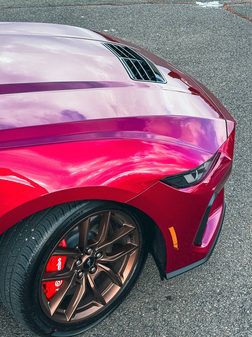 S650 Mustang Official MOLTEN MAGENTA Mustang S650 Thread IMG_3239