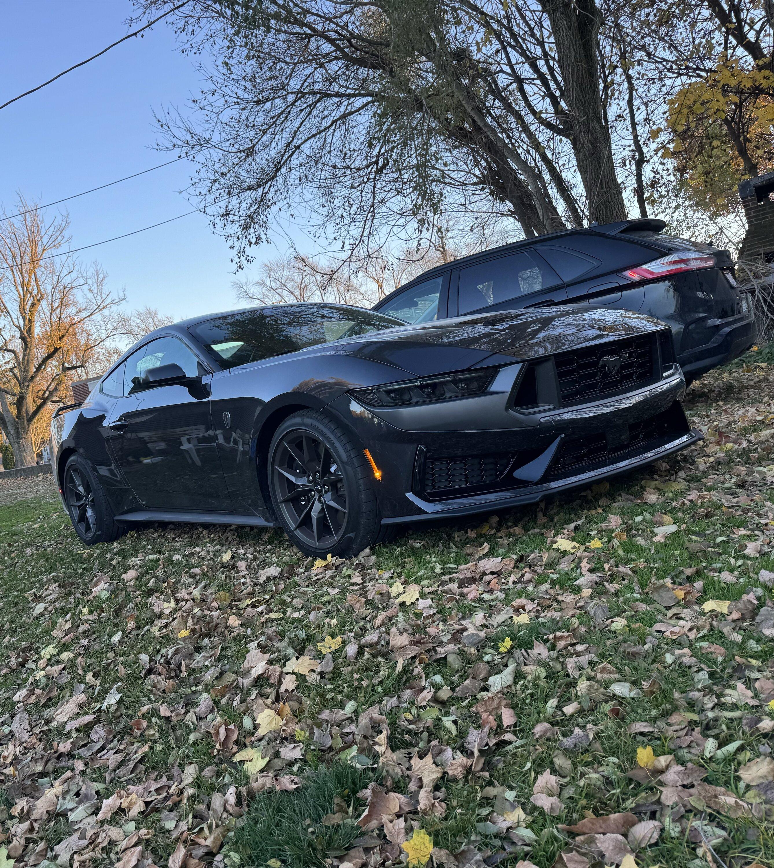 S650 Mustang Ended up with a Dark horse IMG_3315
