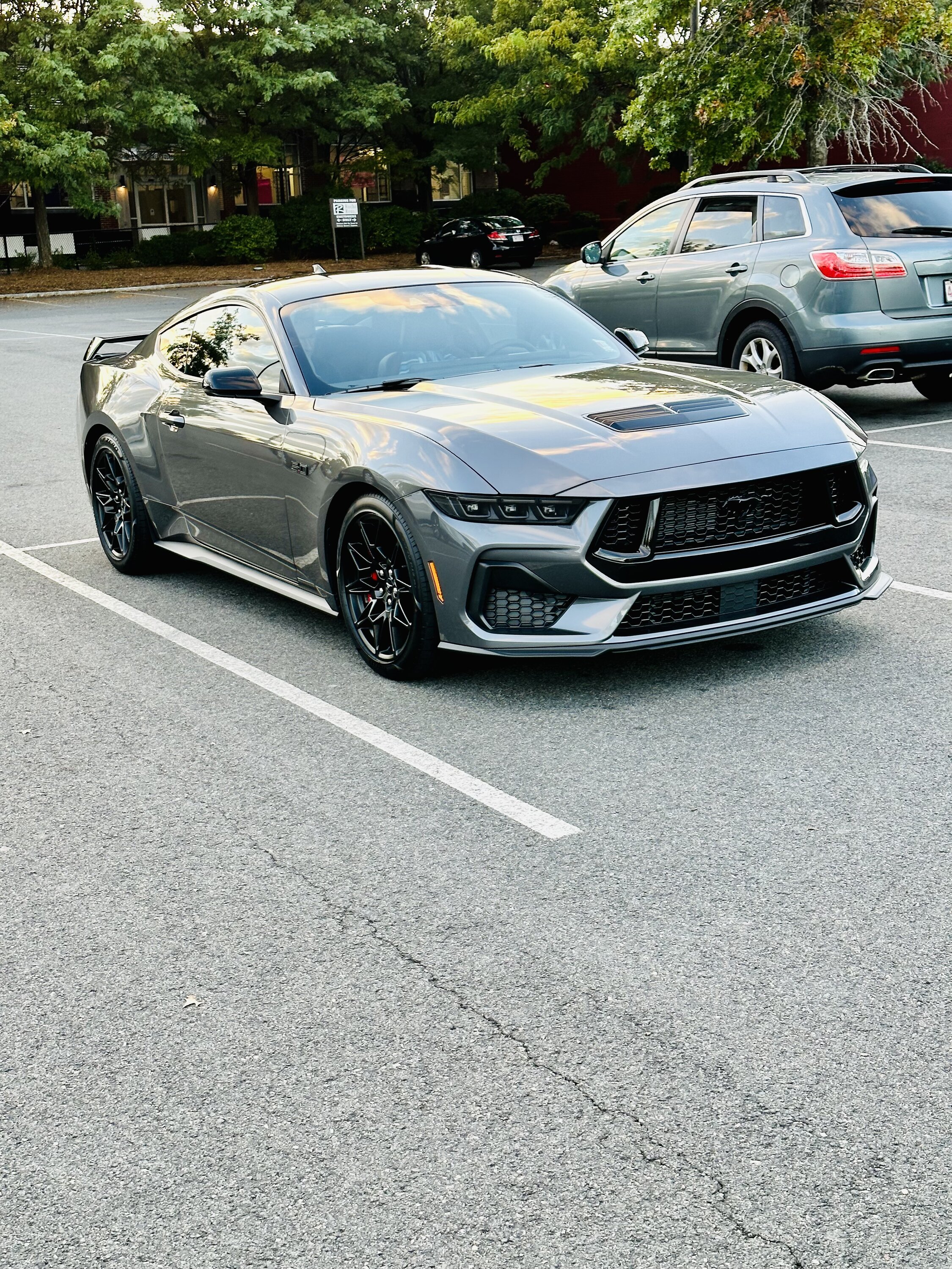 S650 Mustang Official CARBONIZED GRAY Mustang S650 Thread IMG_3317