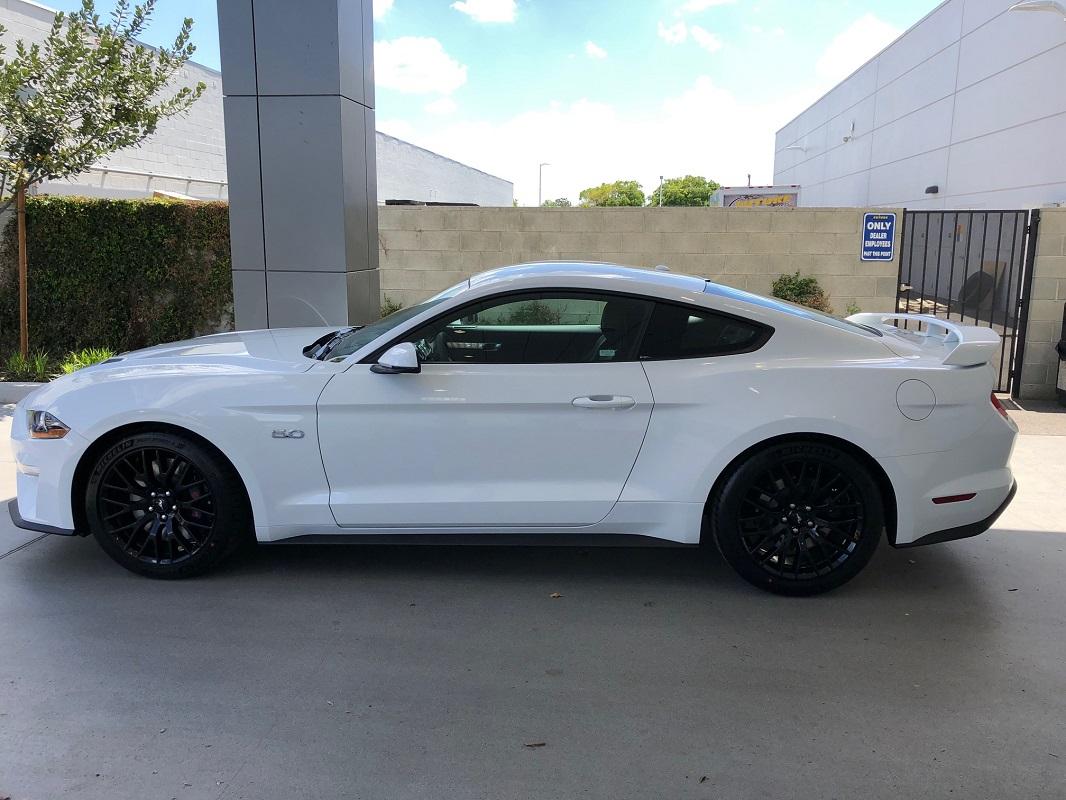 S650 Mustang Automatic COTUS Checker IMG_3514.JPG