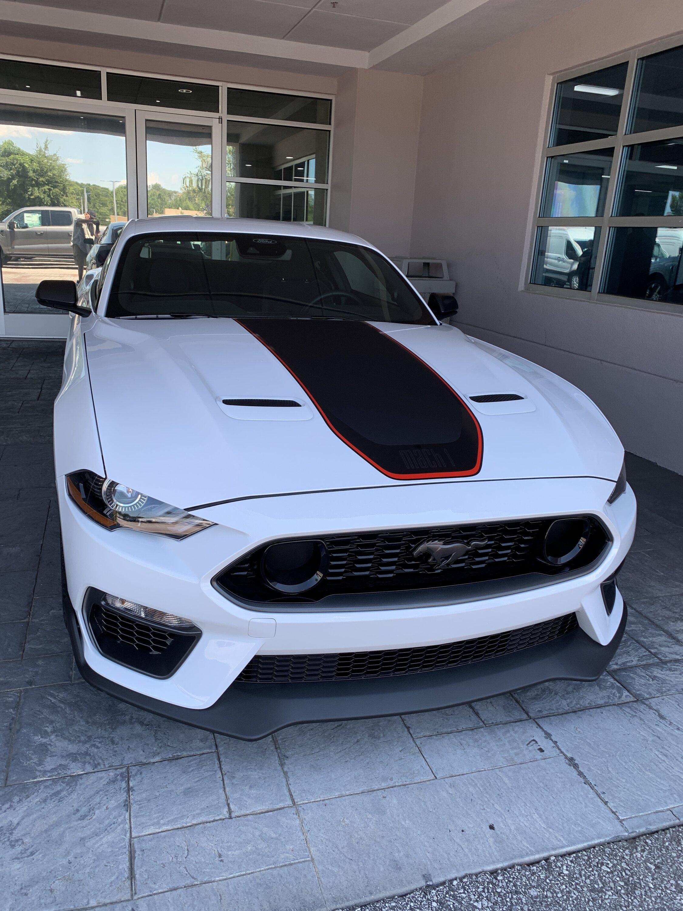 S650 Mustang One big stripe IMG_3521