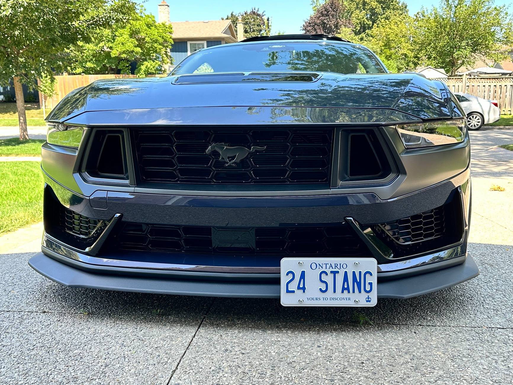 S650 Mustang Cool Daily Random S650 Mustang Pics -- Post Yours! 📸 IMG_3635