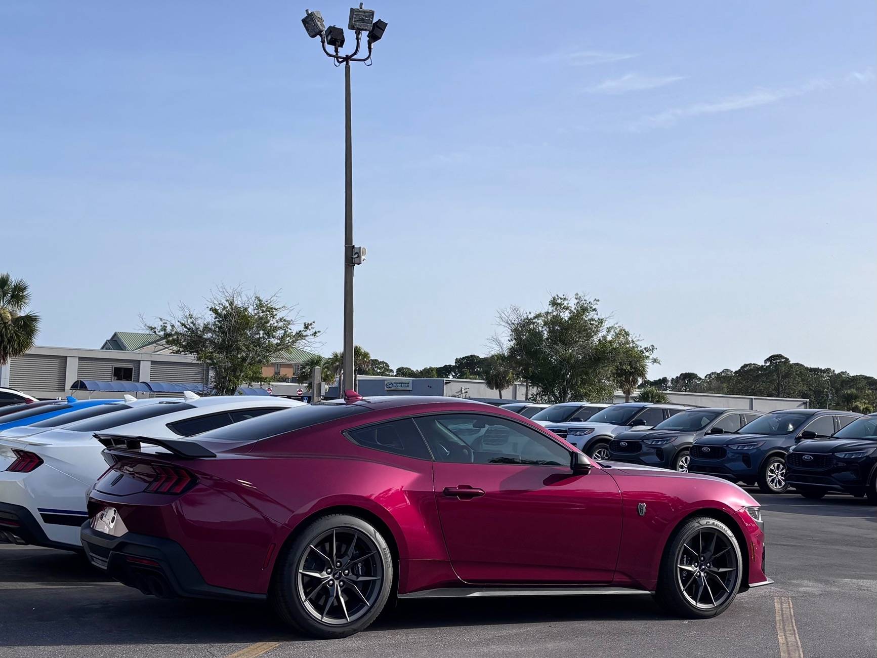 S650 Mustang Official MOLTEN MAGENTA Mustang S650 Thread IMG_3737