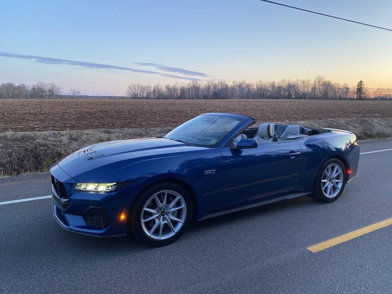 S650 Mustang Official ATLAS BLUE Mustang S650 Thread IMG_3763