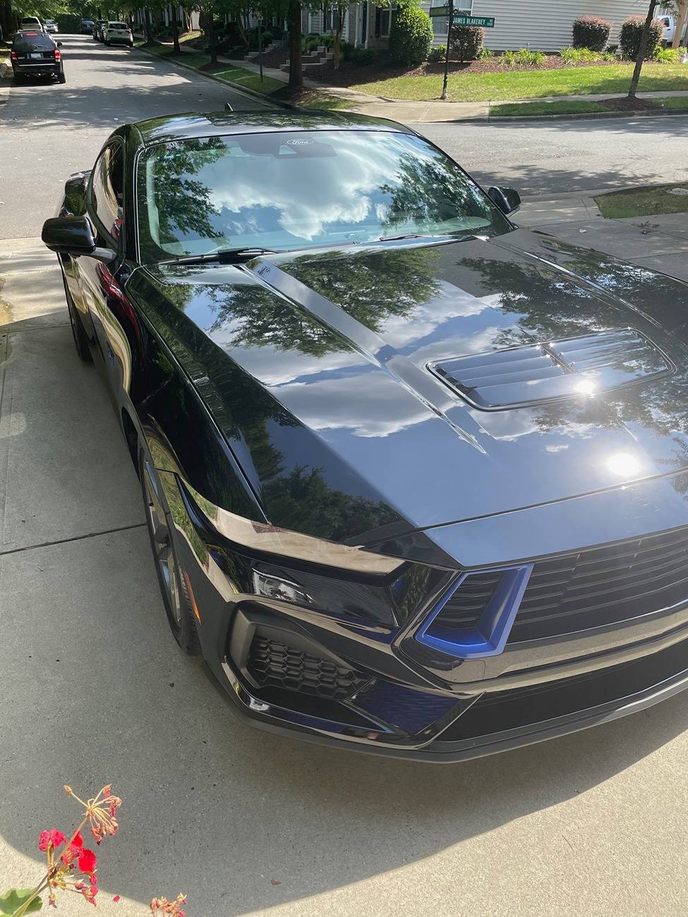 S650 Mustang 2024 California Special - Thoughts? IMG_3899