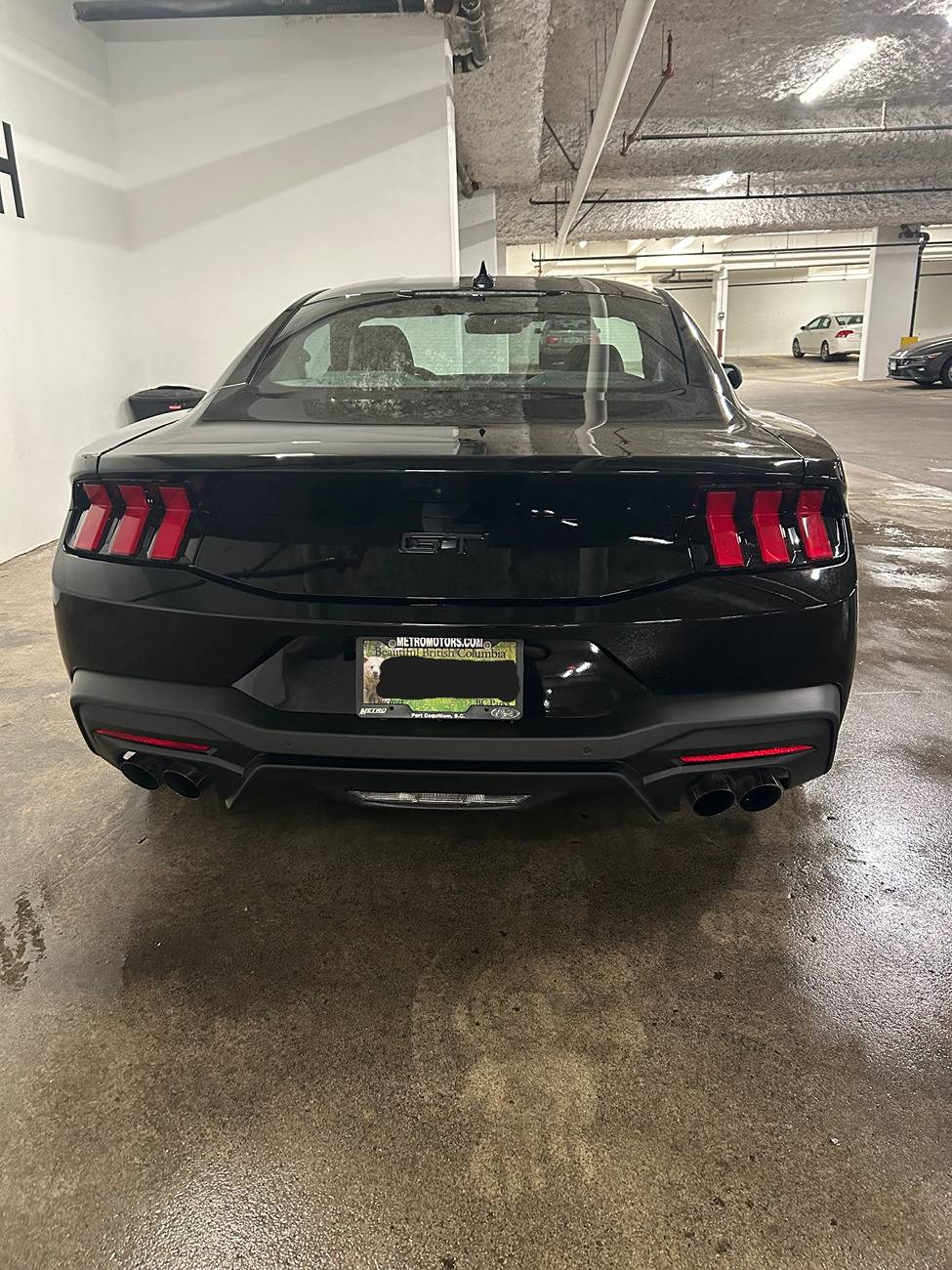 S650 Mustang What did you do to your S650 Mustang today?? 🙋🏻‍♂️ IMG_3933