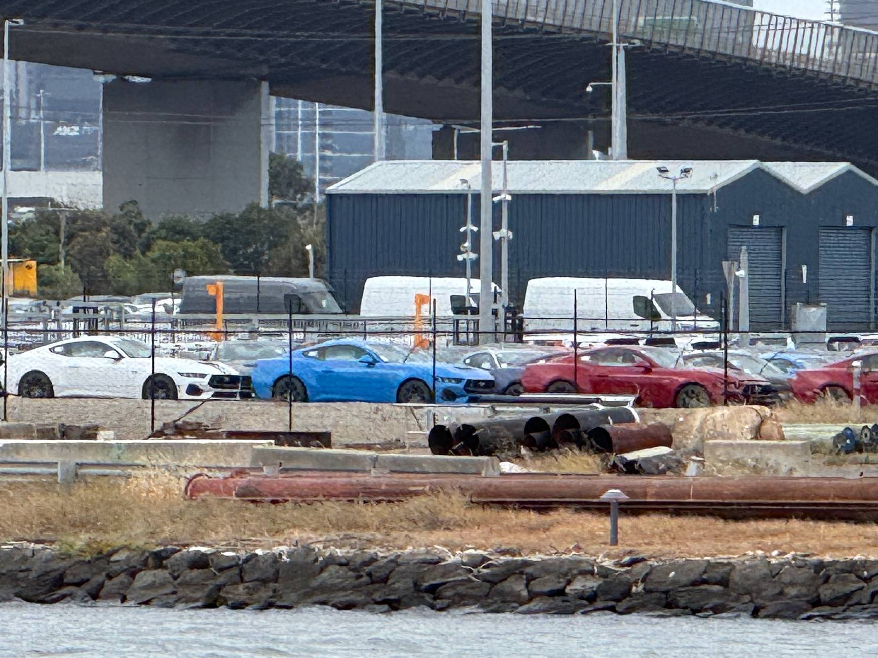 S650 Mustang Mustang delivery to Australia 2024/2025 (Tortugas / Tosca) IMG_3935