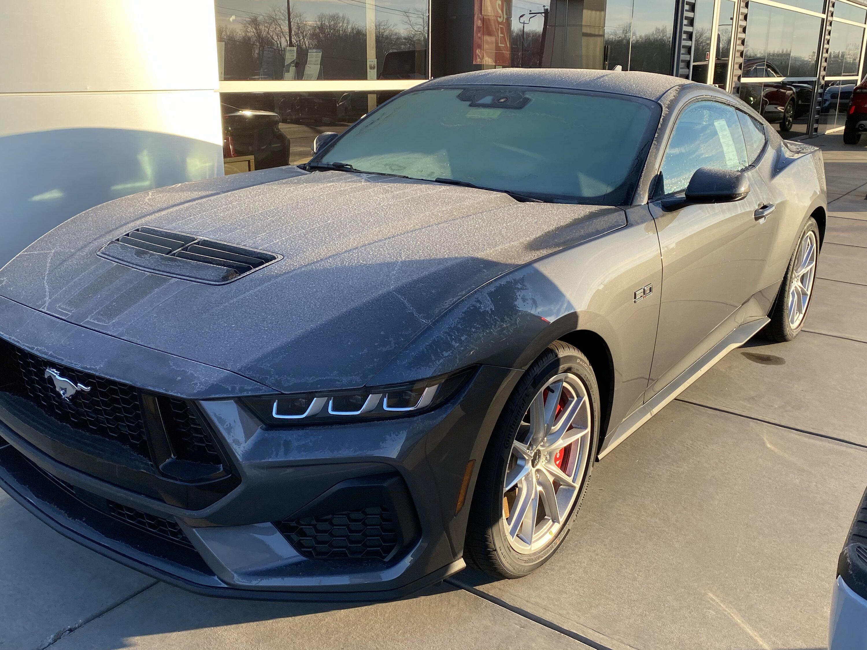S650 Mustang Official DARK MATTER GRAY Mustang S650 Thread IMG_4027