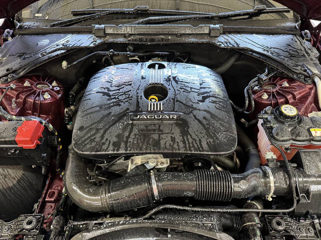 S650 Mustang Favourite All Purpose Cleaner for Engine Bay? IMG_4084