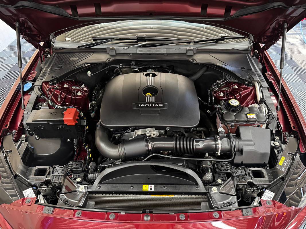 S650 Mustang Favourite All Purpose Cleaner for Engine Bay? IMG_4108