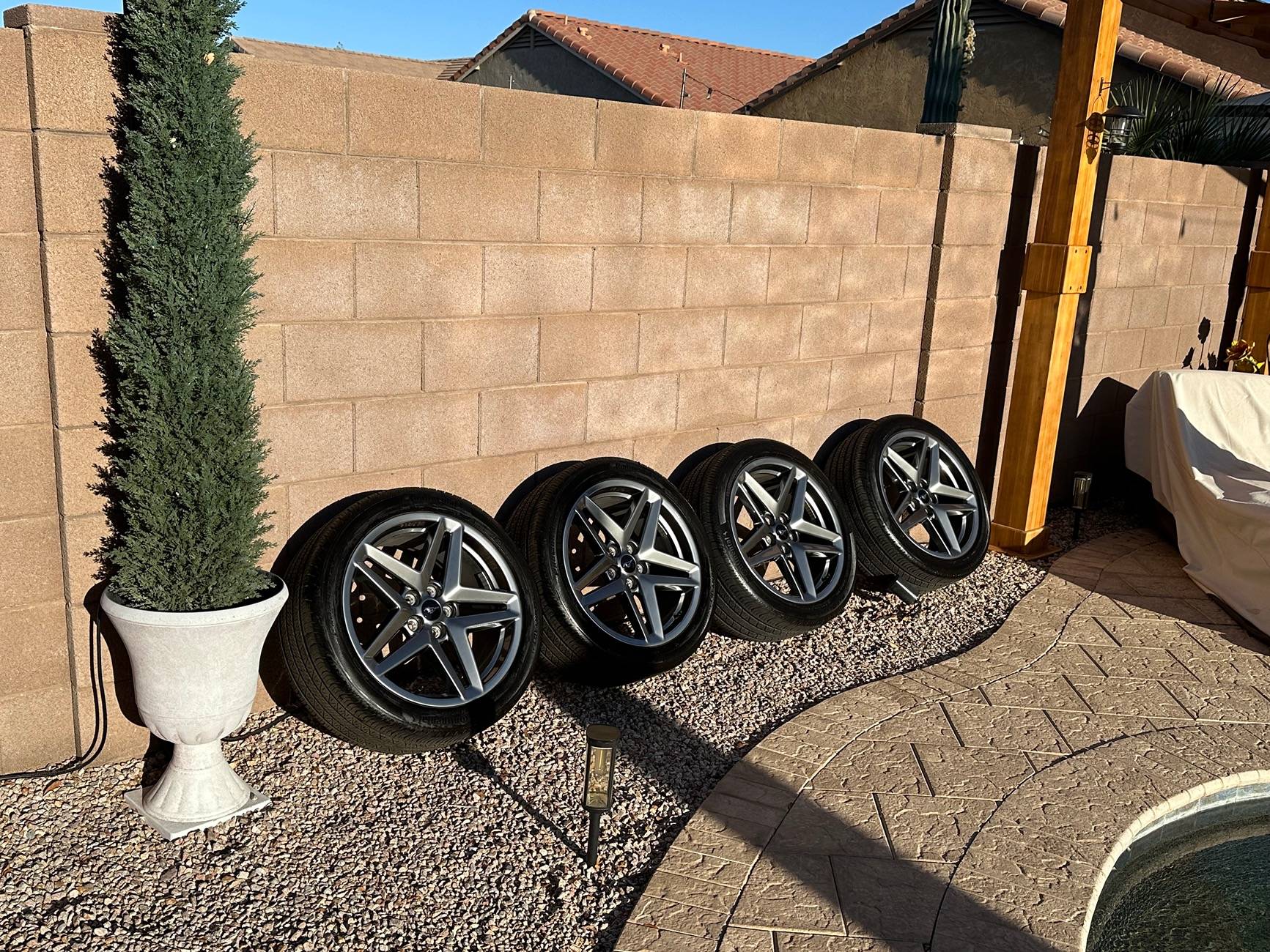 S650 Mustang 2024 Ford Mustang OEM Premium 19" Rims and Tires IMG_4121