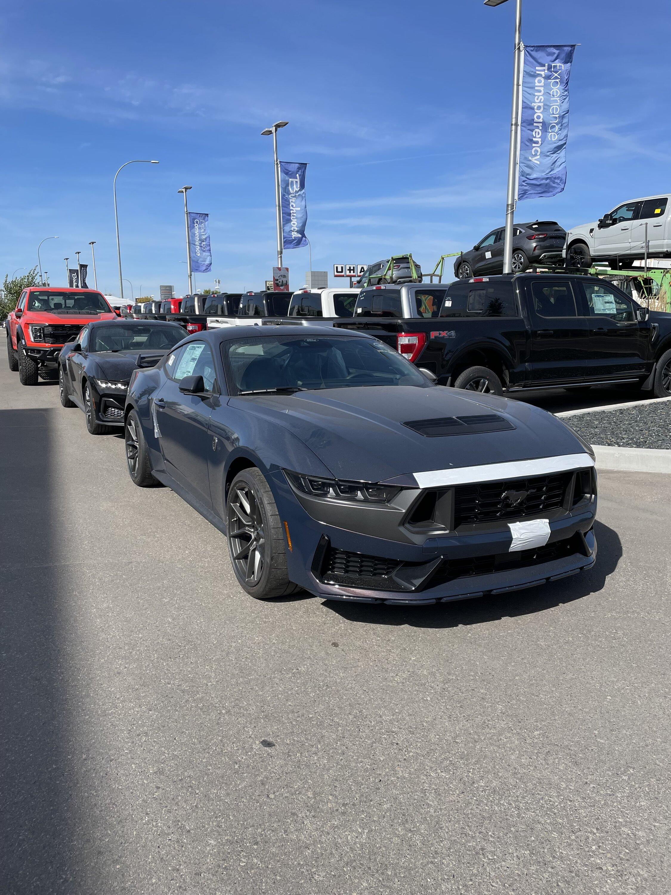 S650 Mustang Canada - July and August Orders Scheduled? IMG_4167