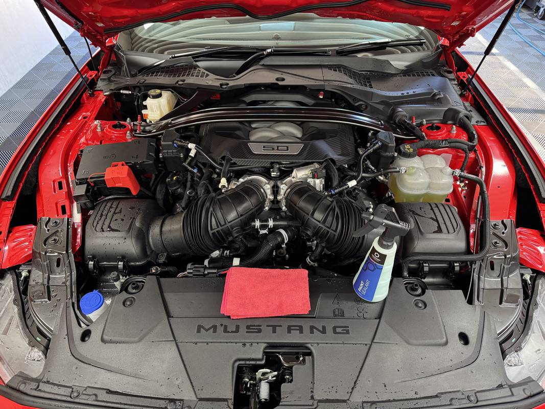 S650 Mustang Favourite All Purpose Cleaner for Engine Bay? IMG_4227