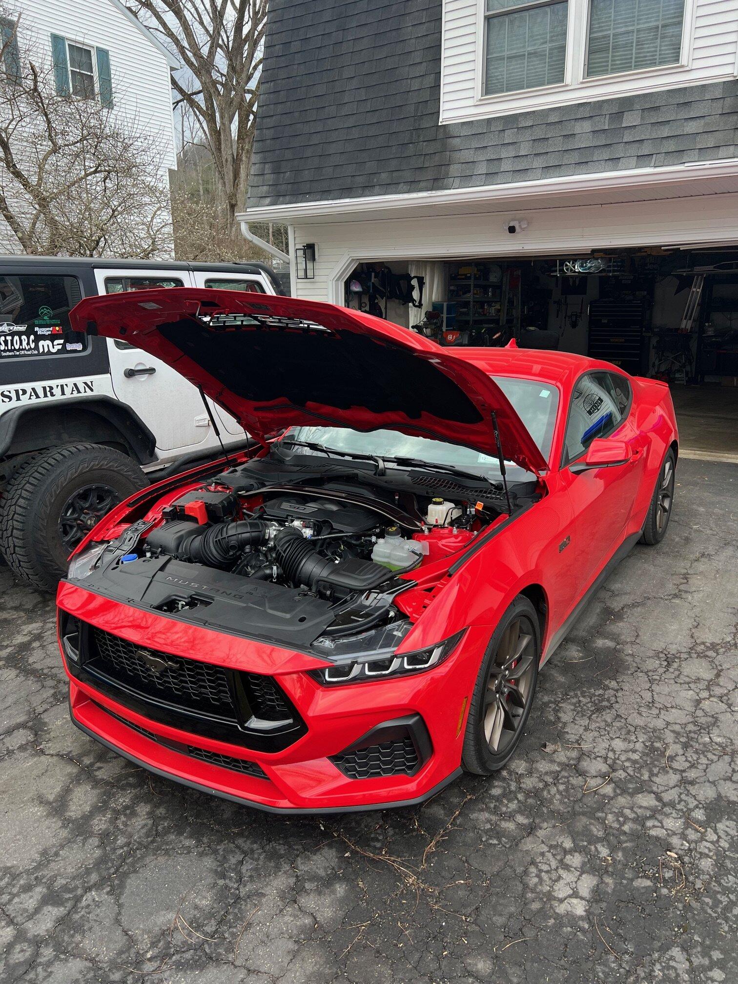 S650 Mustang Bronze package? IMG_4244