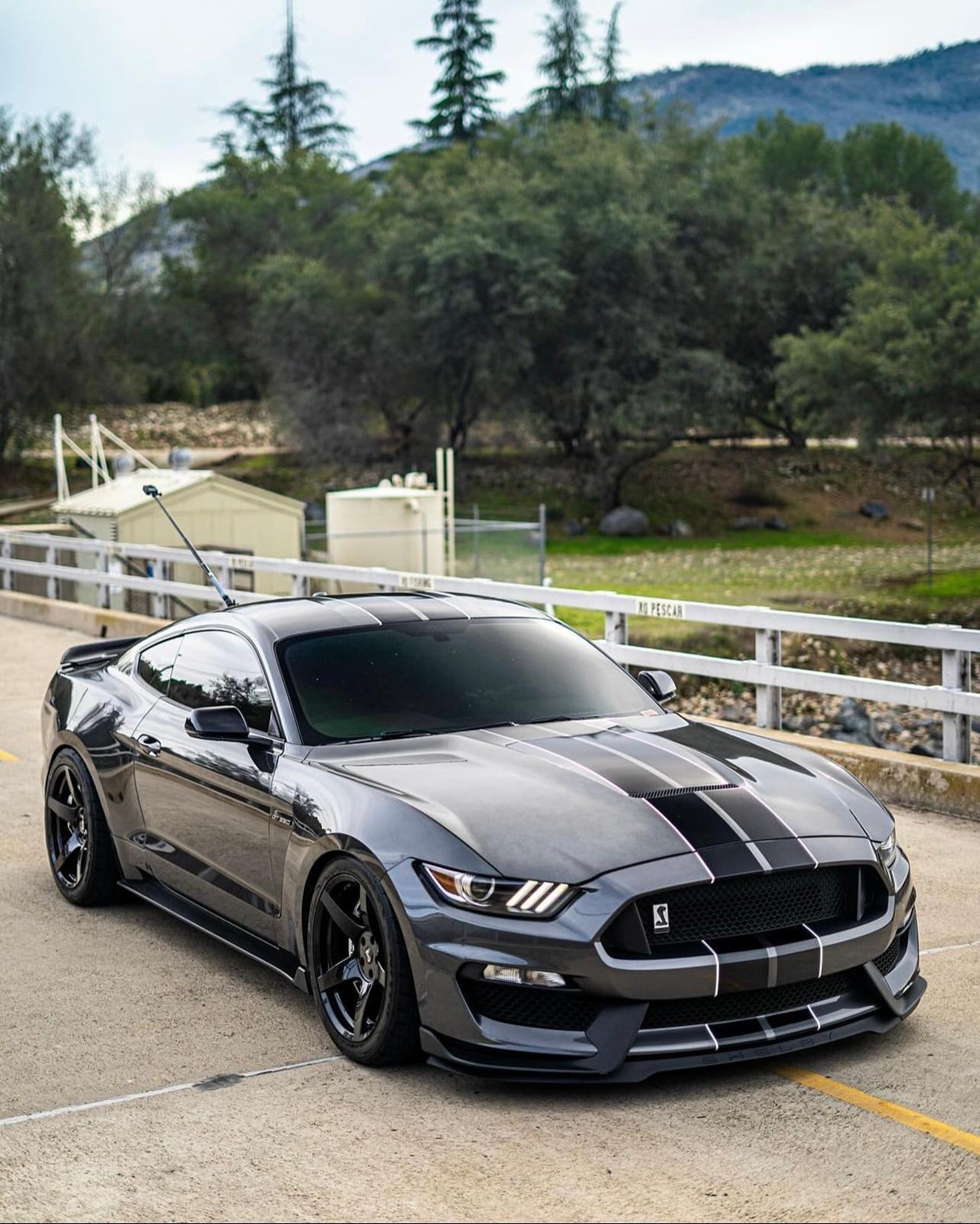 S650 Mustang Official S650 Dark Horse Aftermarket Wheel/Tire Thread! IMG_4277 (1)