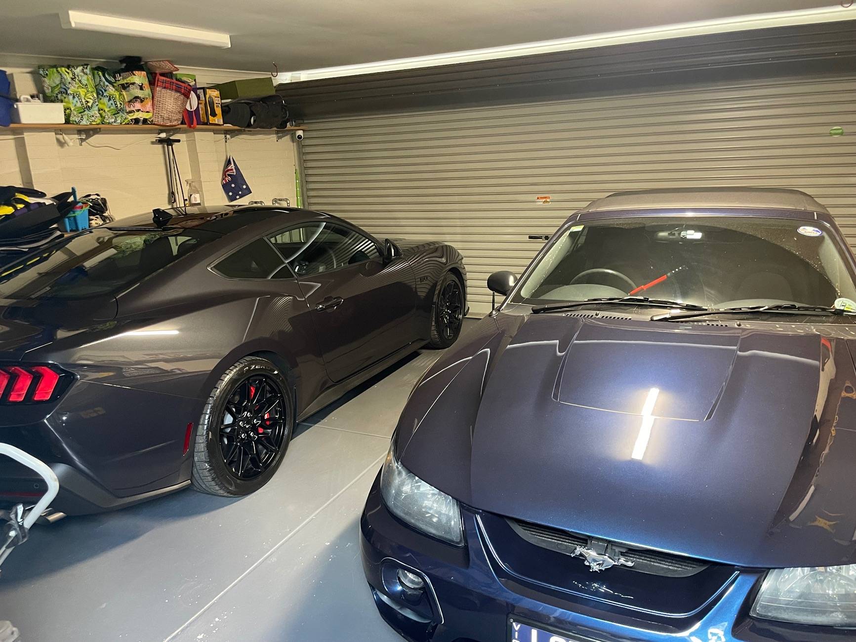 S650 Mustang Mustang delivery to Australia 2024/2025 (Tortugas / Tosca) IMG_4293