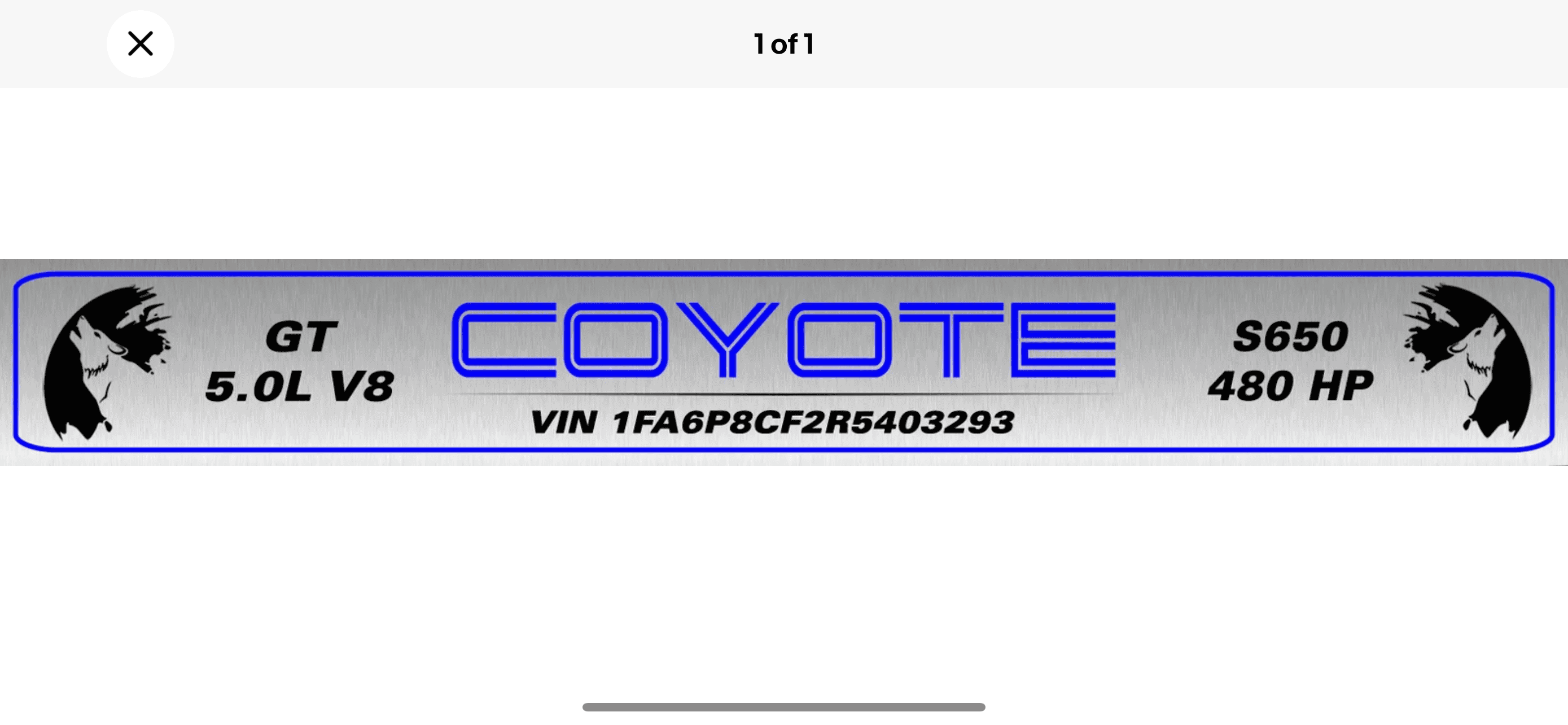 IMG_4318.png