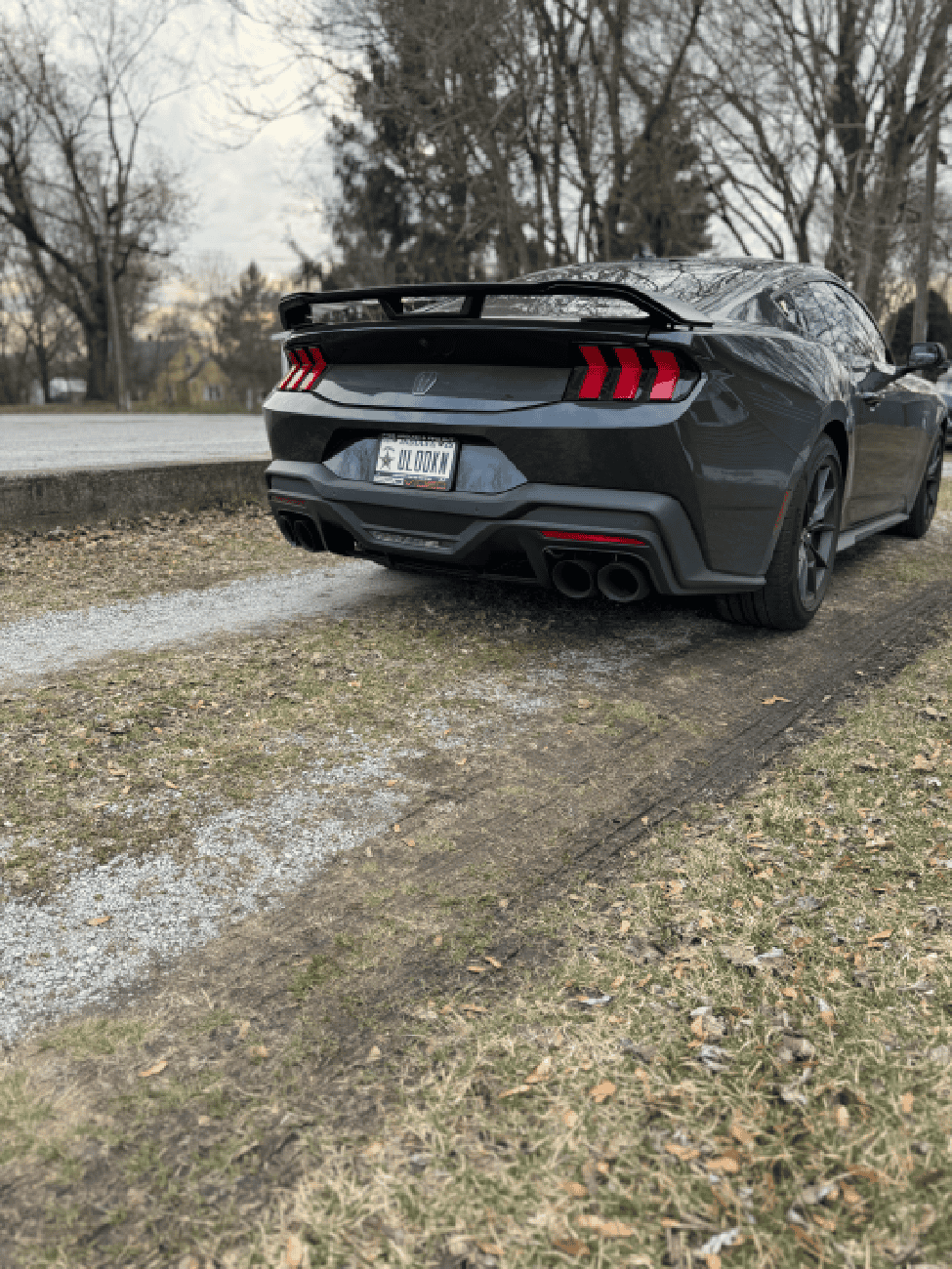 S650 Mustang PLATE NAMES FOR DARK HORSE EDITION IMG_4352