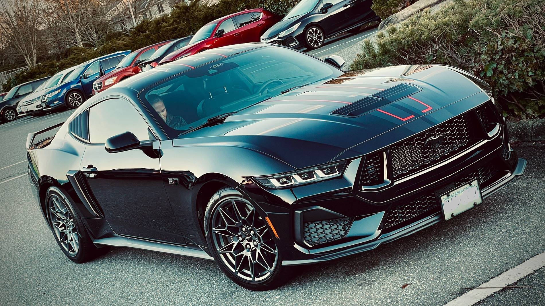S650 Mustang Front license plate IMG_4435