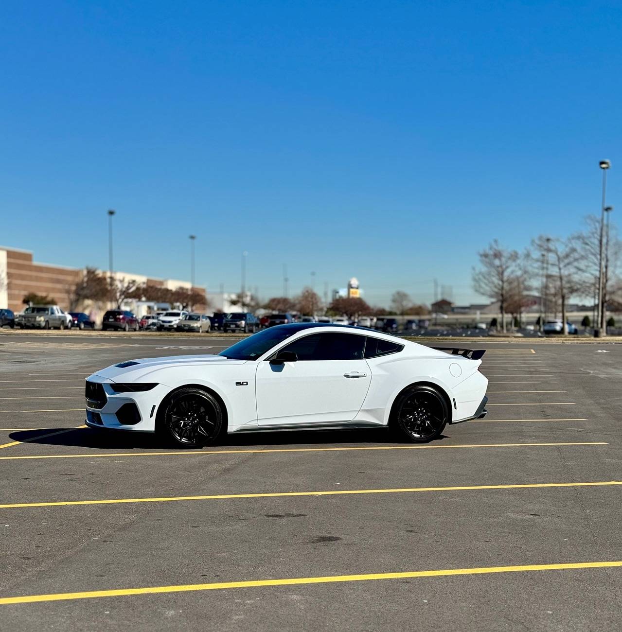 S650 Mustang Vertical Lambo Doors IMG_4673