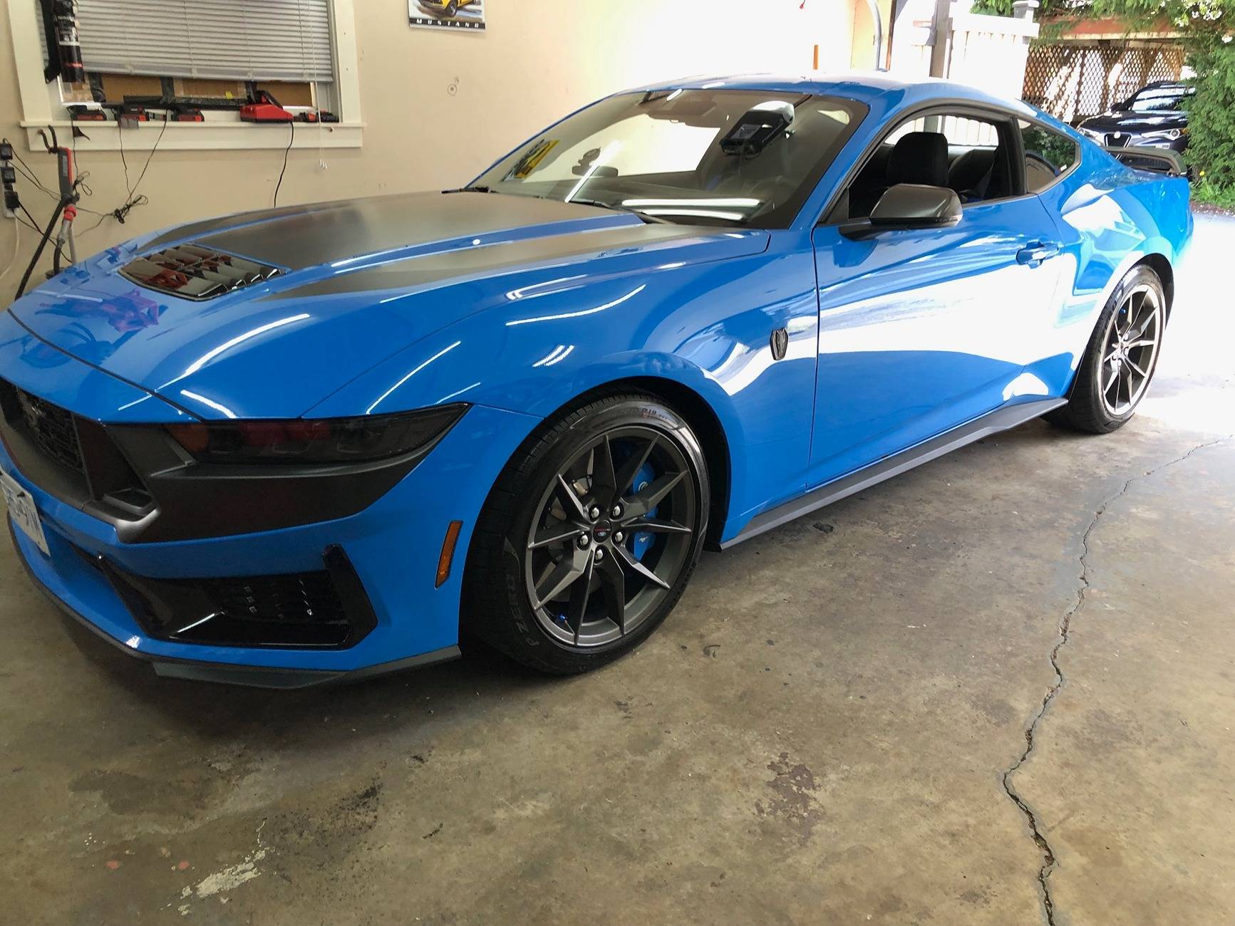 S650 Mustang Official GRABBER BLUE Mustang S650 Thread IMG_4780