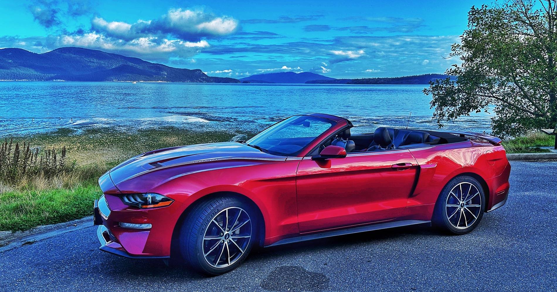 S650 Mustang Unofficial 2025 60th Anniversary Edition Mustang Registry IMG_4854