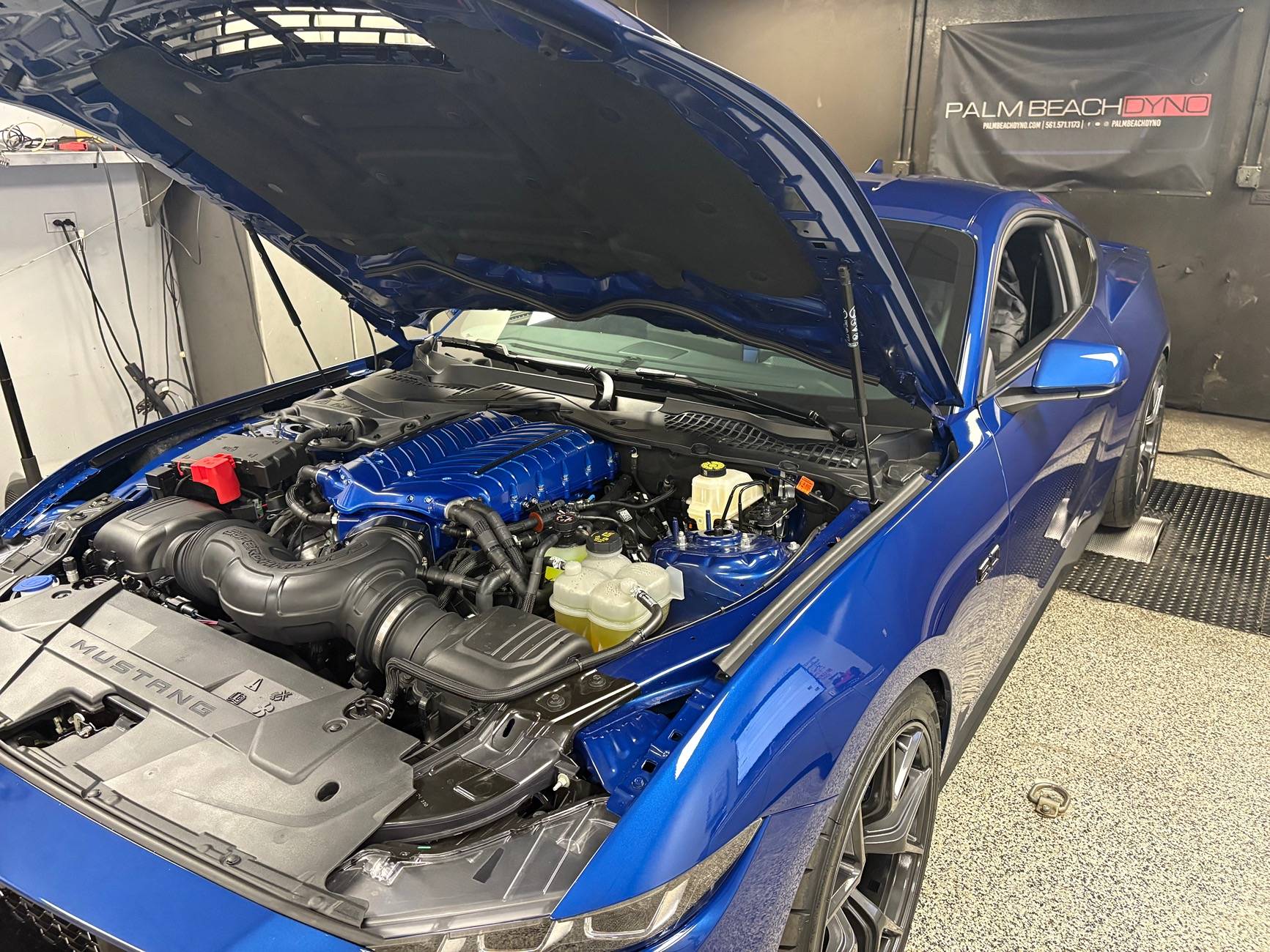 S650 Mustang Whipple cost IMG_4926