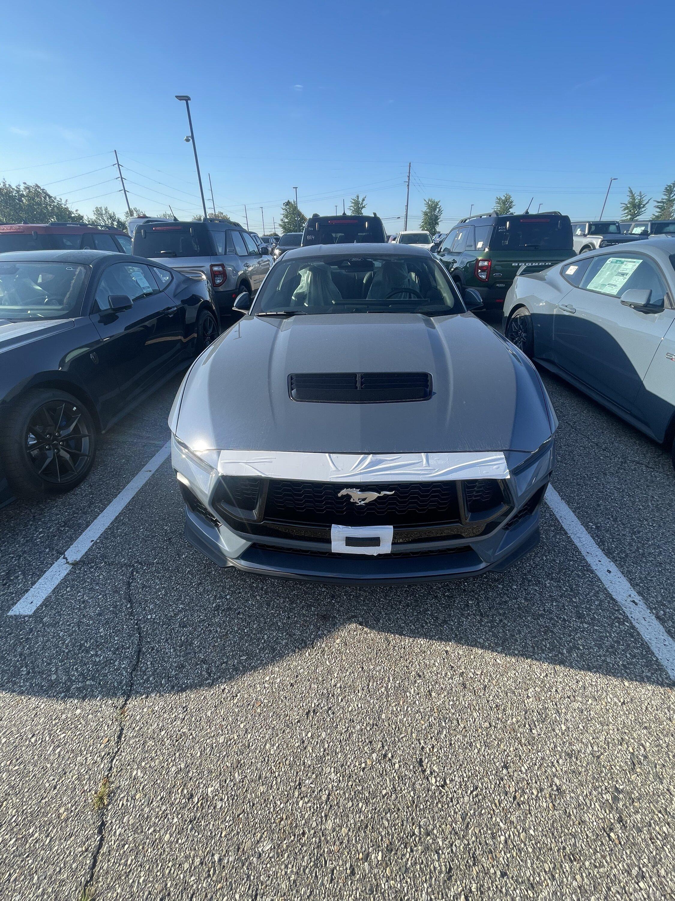 IMG_4957.jpeg