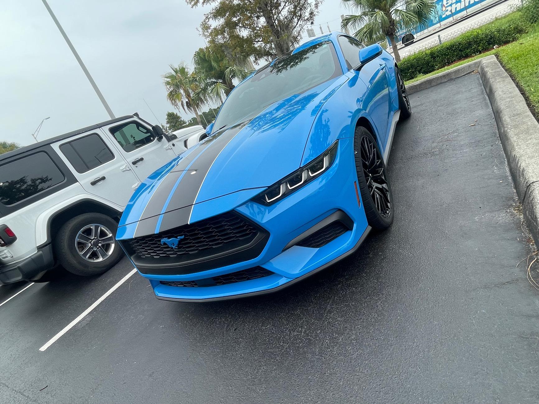 S650 Mustang Official GRABBER BLUE Mustang S650 Thread IMG_4997