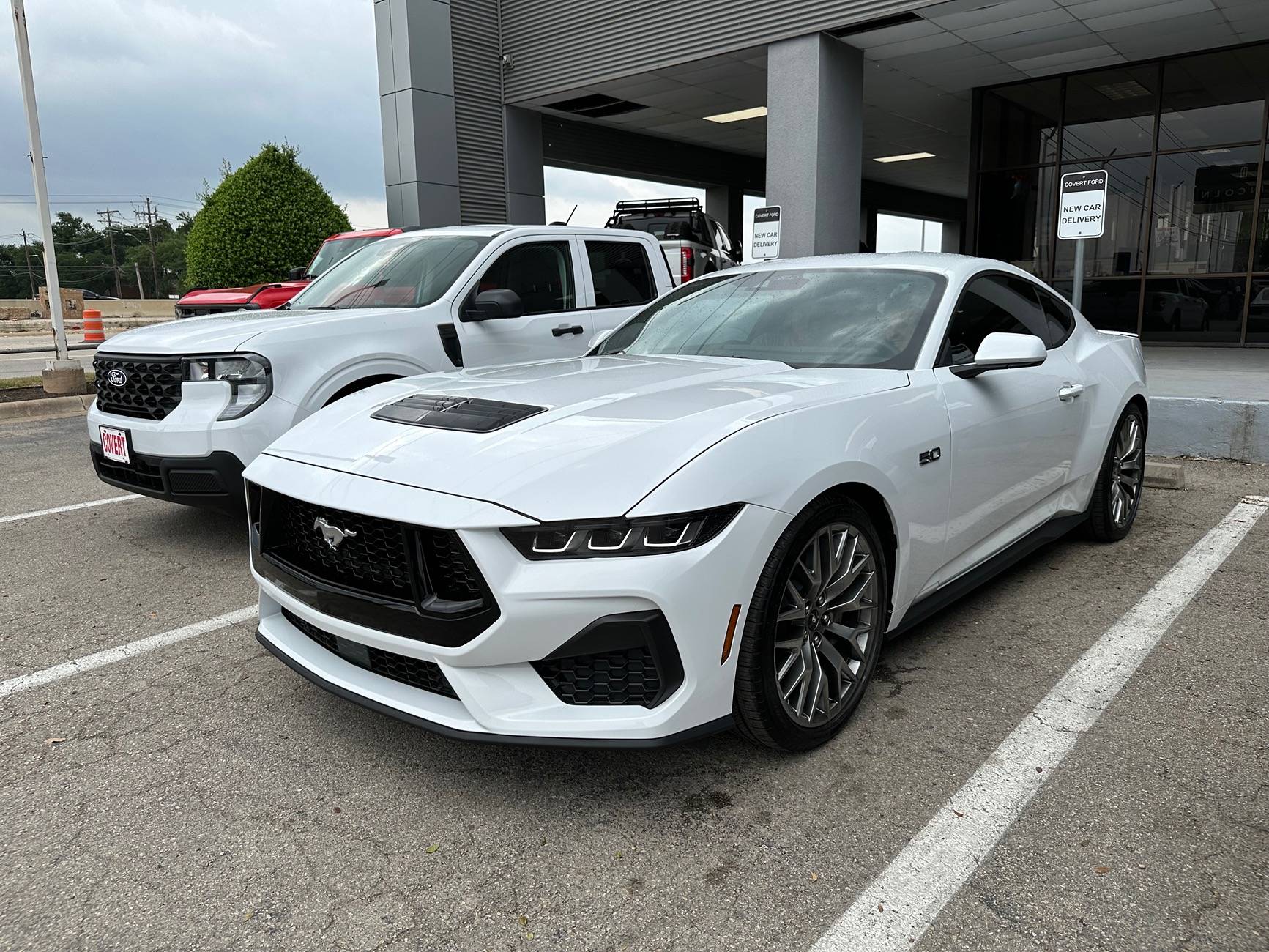 S650 Mustang Picked up a leftover 2024! IMG_5075