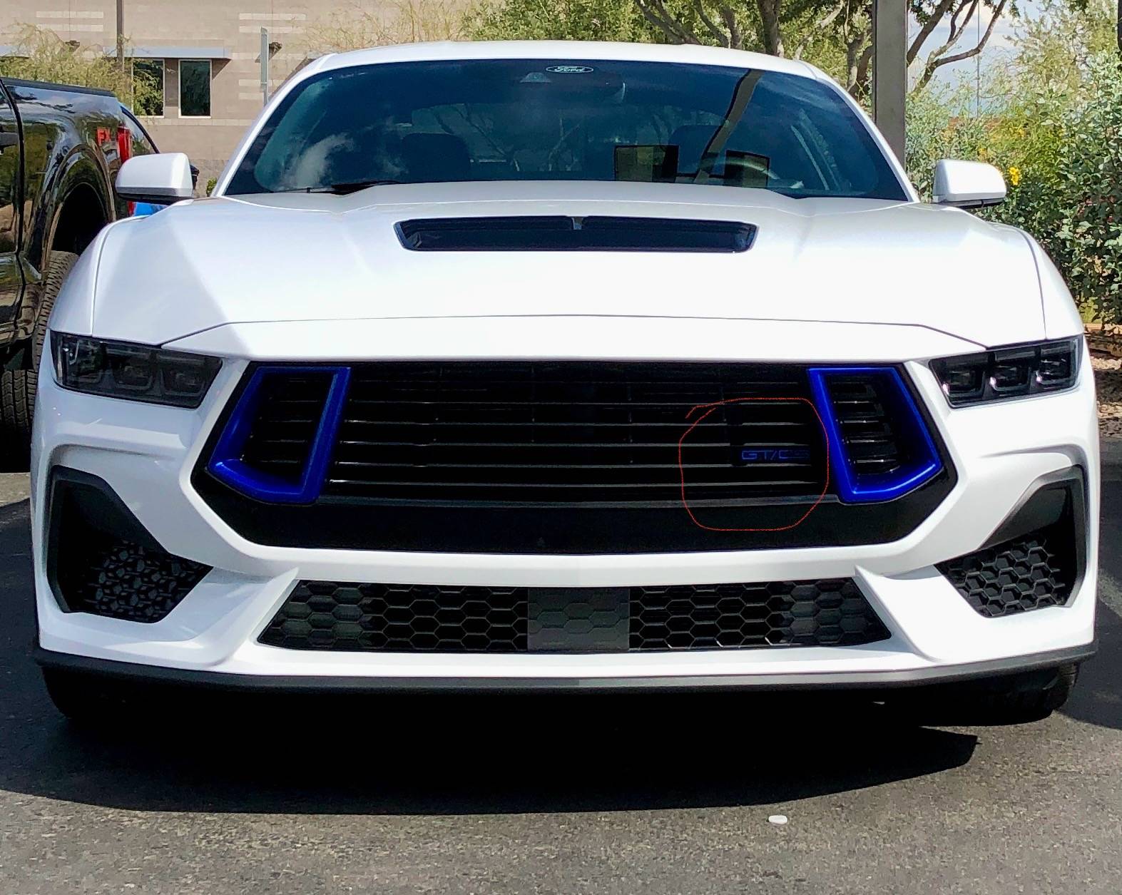 S650 Mustang 2024 California Special - Thoughts? IMG_5099