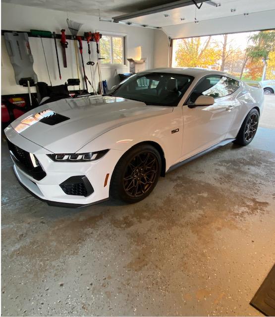 S650 Mustang Finally took some pics IMG_5152