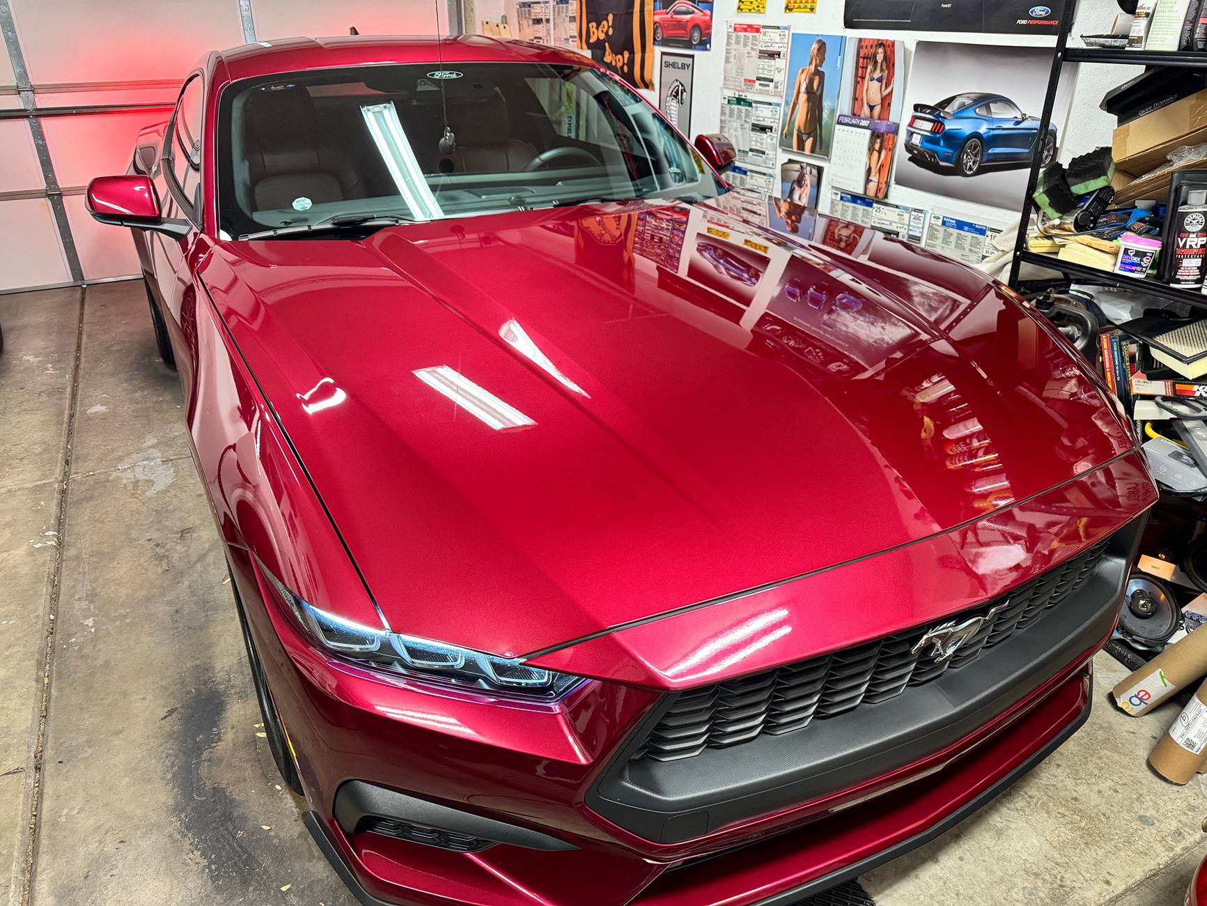 S650 Mustang Any Molten Magenta cars spotted yet? IMG_5517.JPG