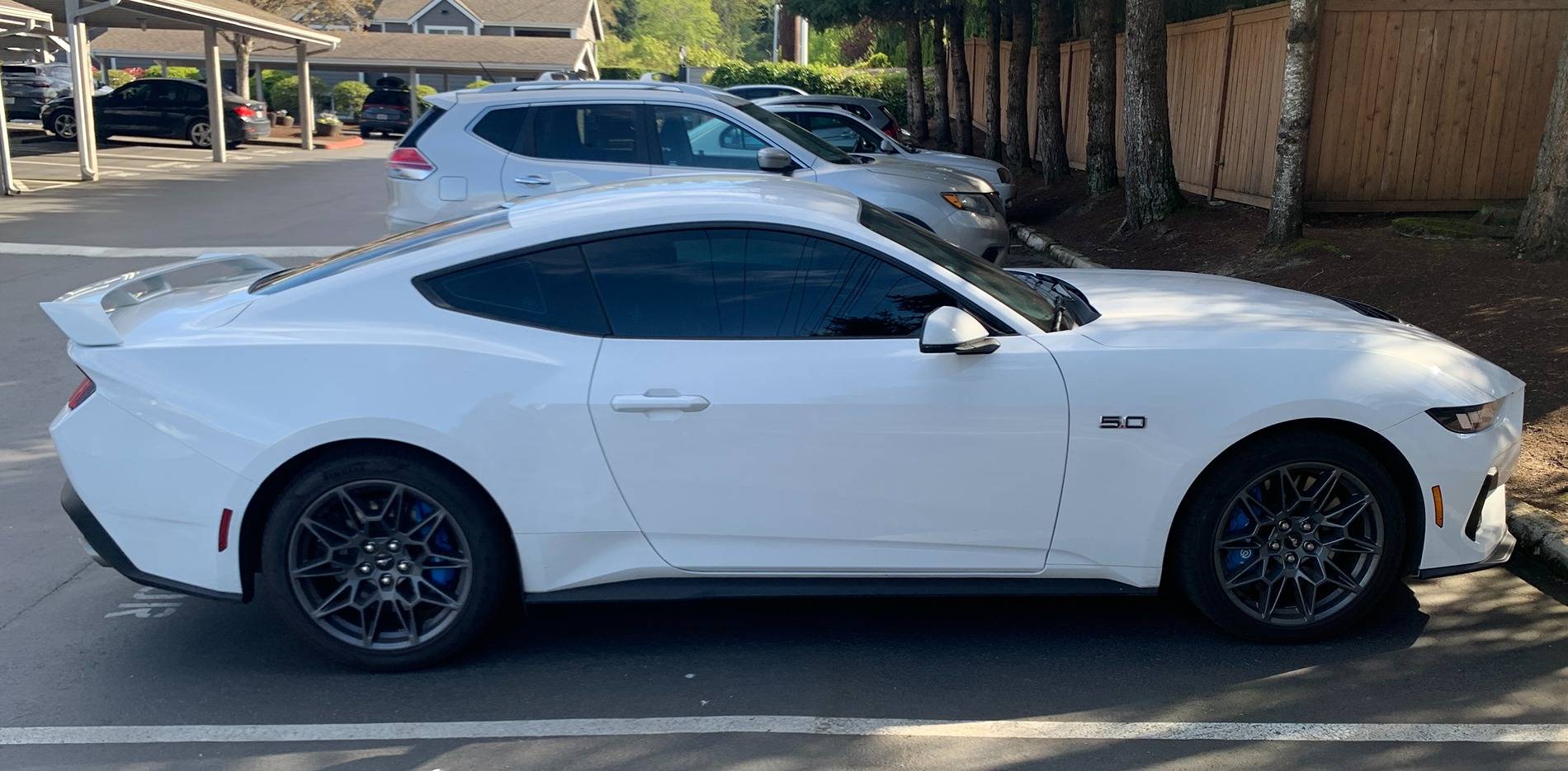 S650 Mustang Color PPF for Blue Racing Stripes on Oxford White GT IMG_5526 3.JPG