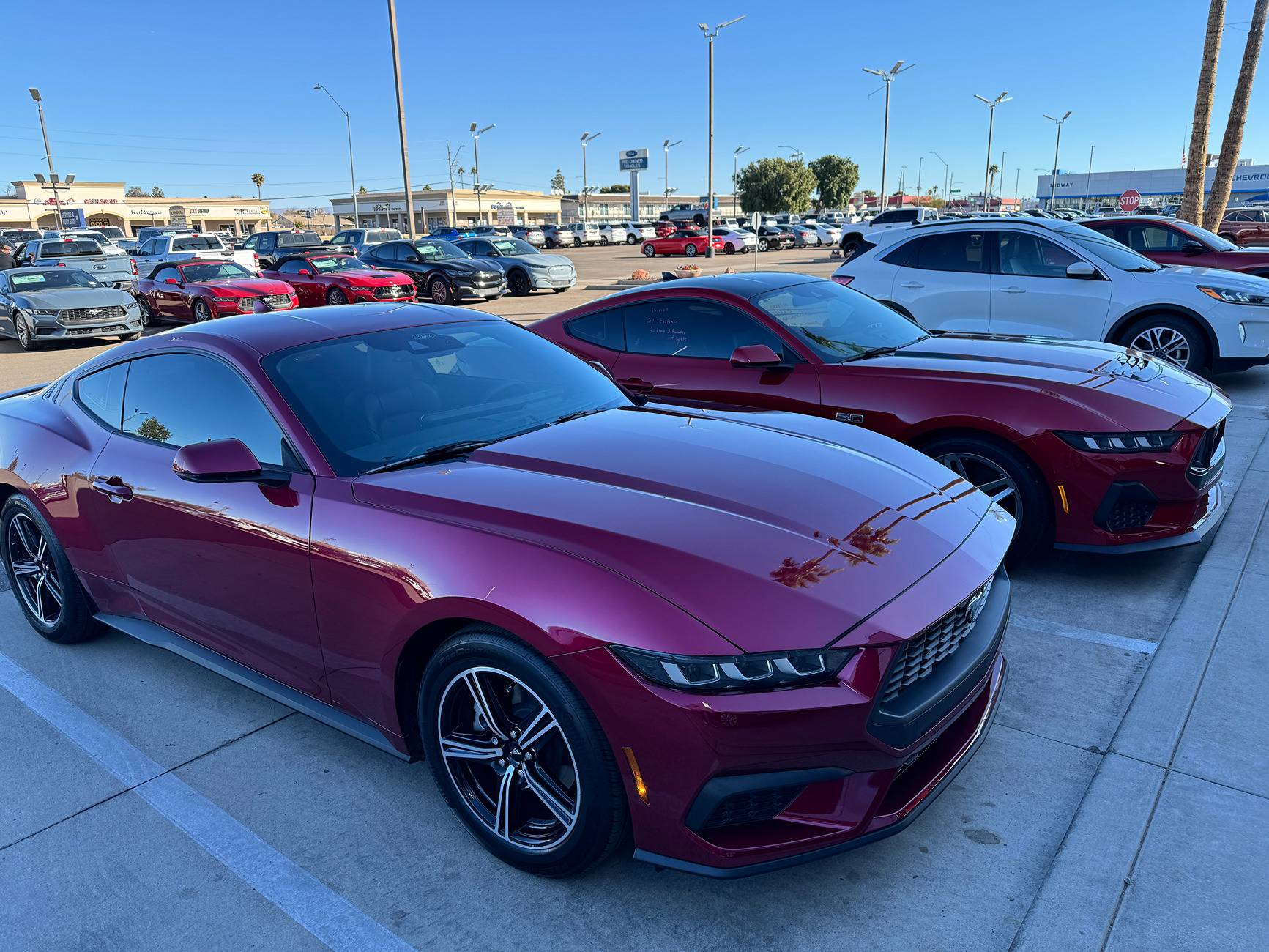 S650 Mustang Official MOLTEN MAGENTA Mustang S650 Thread IMG_5545.JPG