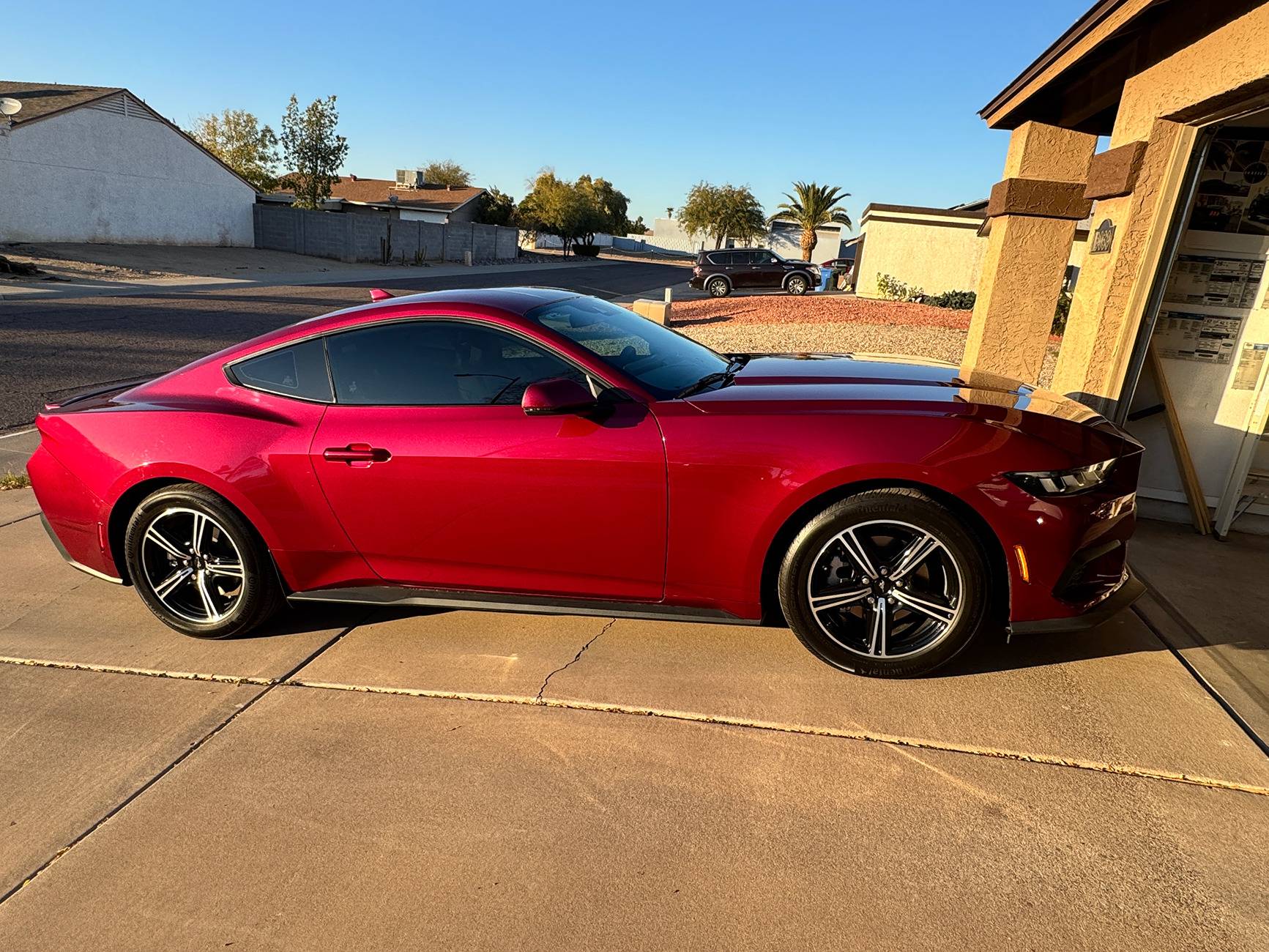 S650 Mustang Official MOLTEN MAGENTA Mustang S650 Thread IMG_5568.JPG