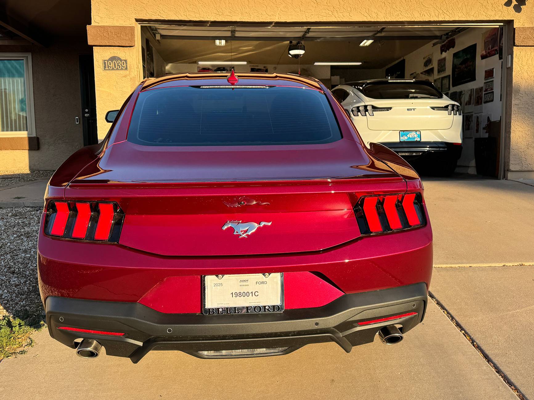 S650 Mustang Any Molten Magenta cars spotted yet? IMG_5569.JPG