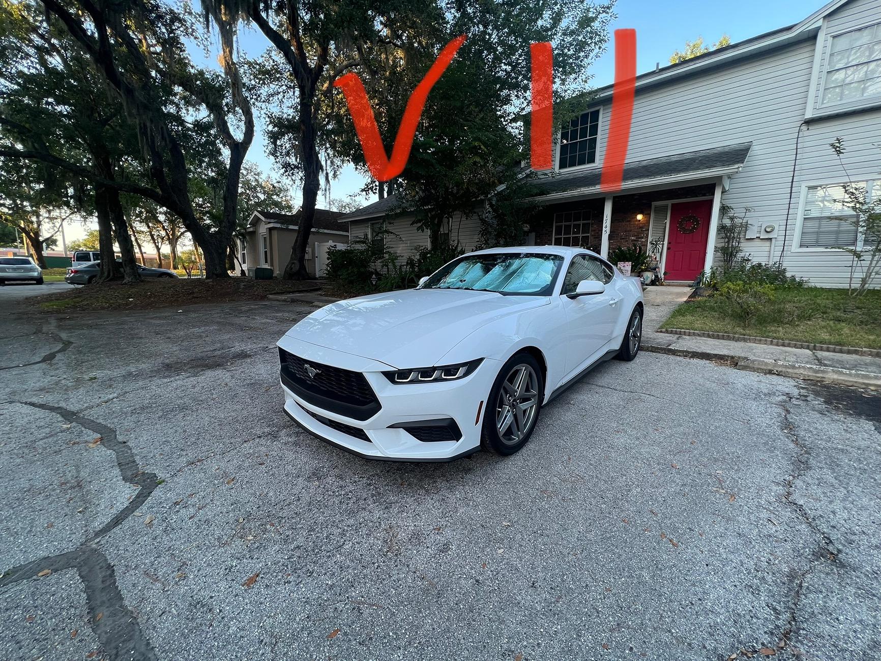 S650 Mustang 1 year further and still bad panels IMG_5692