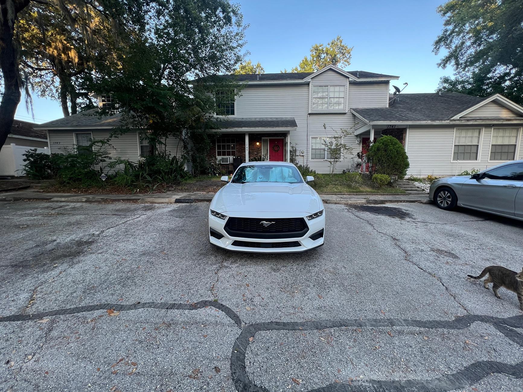 S650 Mustang 1 year further and still bad panels IMG_5693