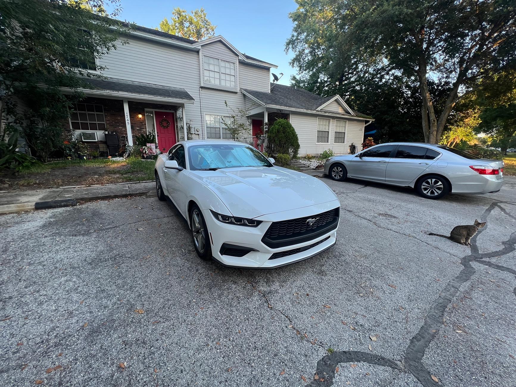 S650 Mustang 1 year further and still bad panels IMG_5694