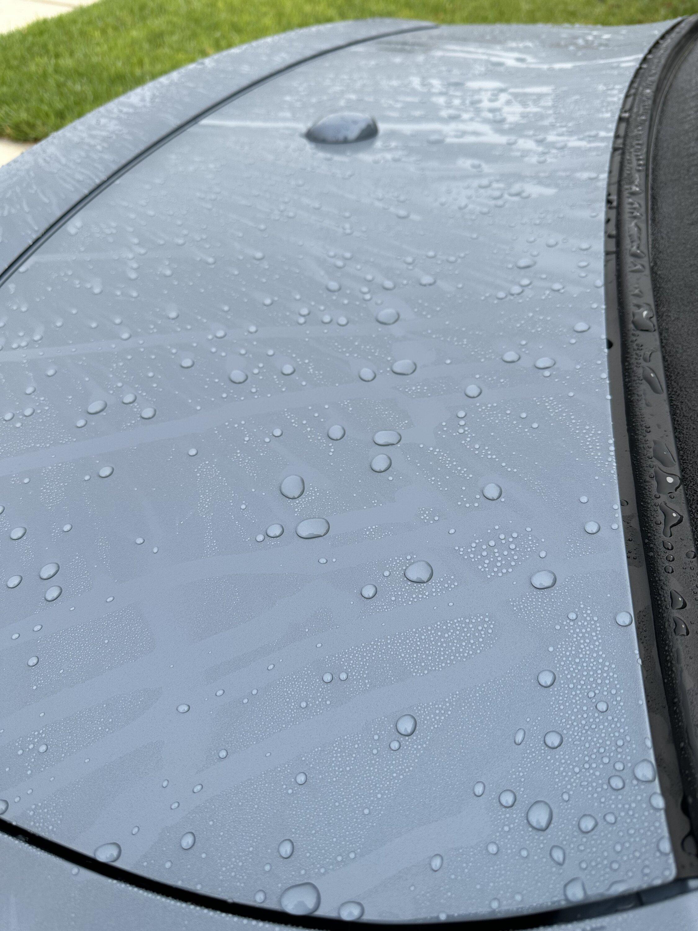 S650 Mustang Ppf and beading pics IMG_5768